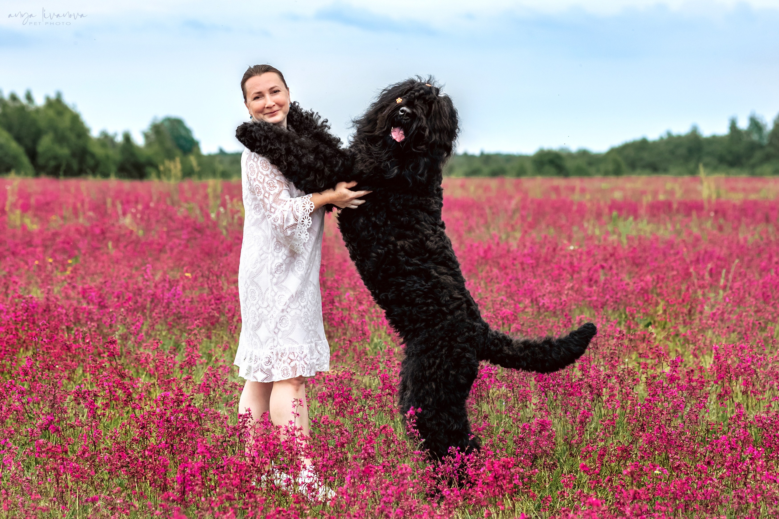Смолка клейкая. Фотограф анималист Аня Ливанова | Рыбинск