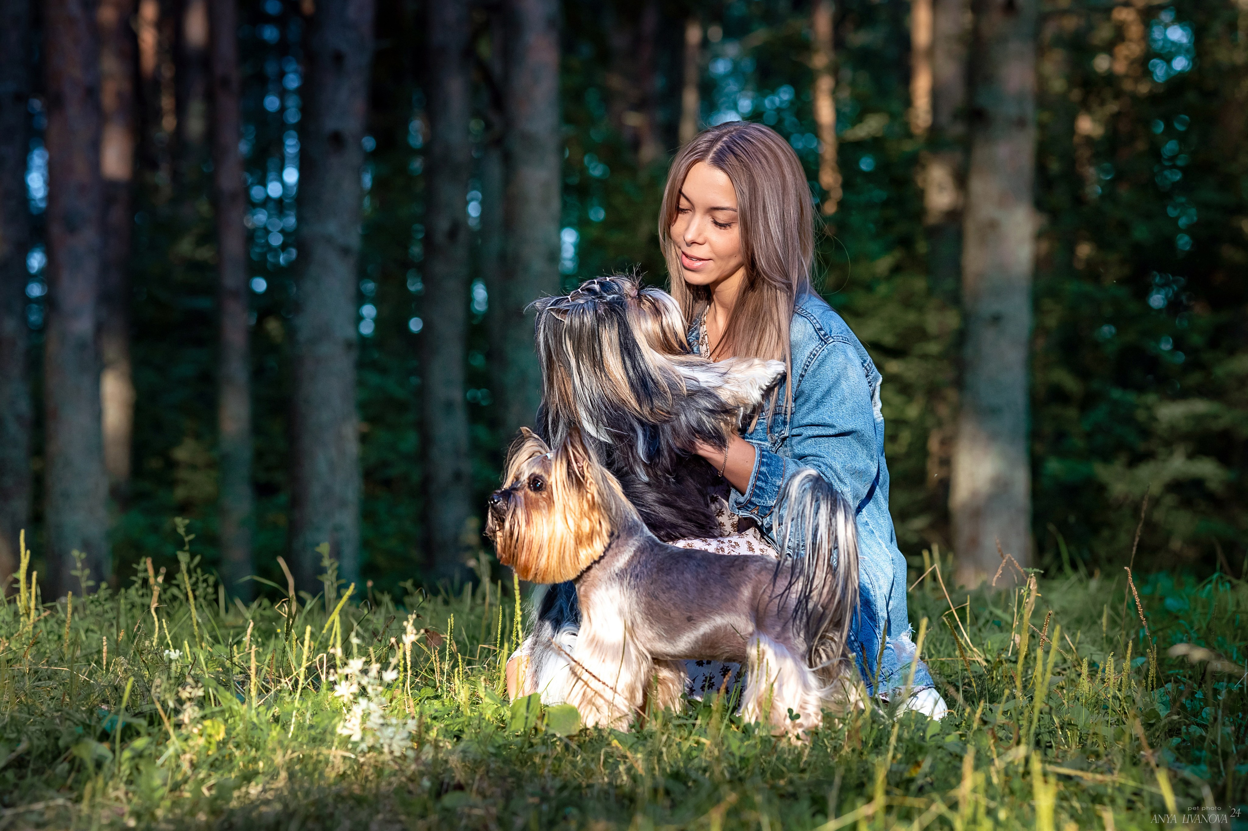 Катя и йорки. Фотограф анималист Аня Ливанова | Рыбинск