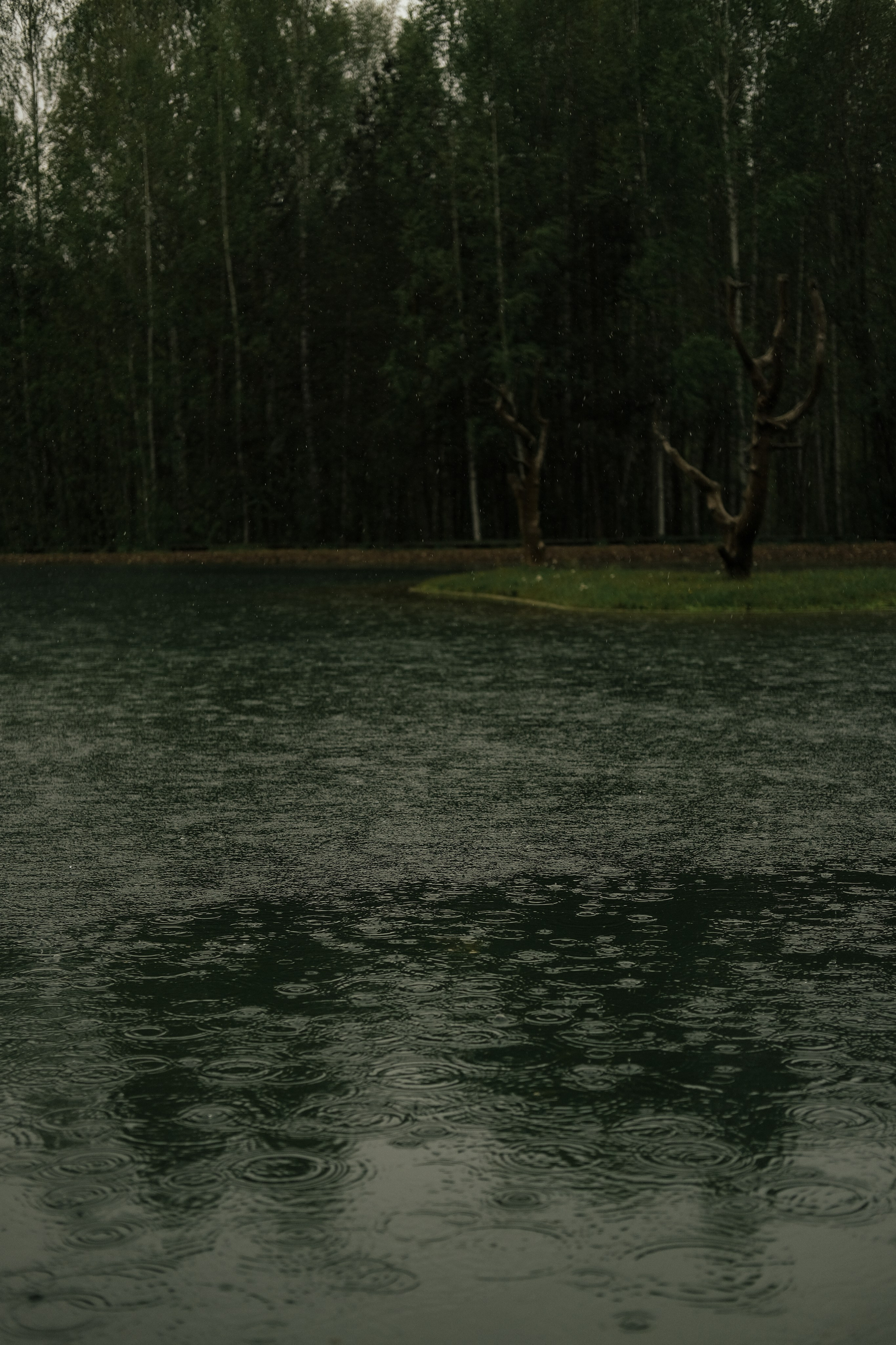 Услуги и стоимость. Обо мне