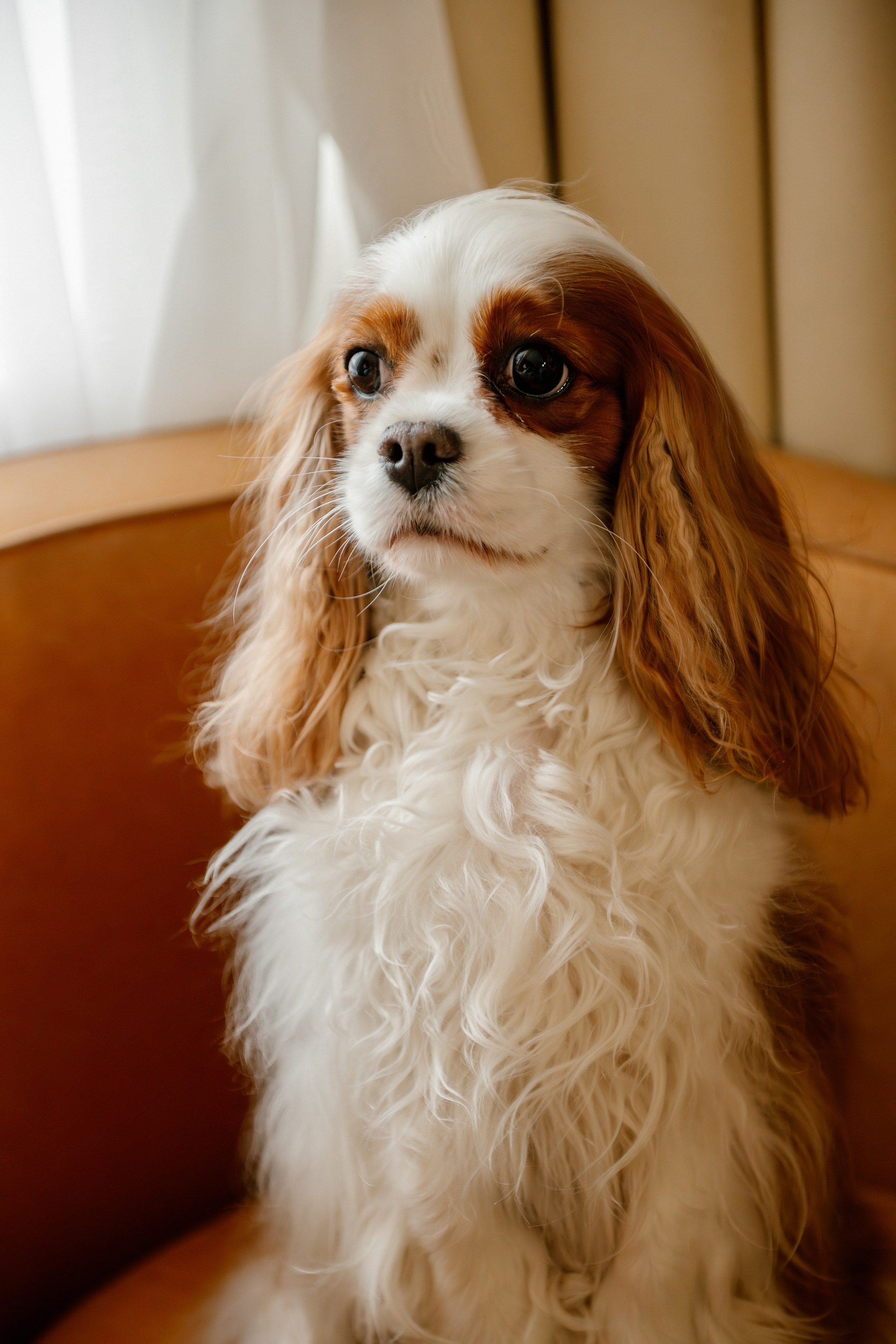 Альбомы романтических съёмок. Семейный и свадебный фотограф в Москве и Домодедово Анна Авилочкина