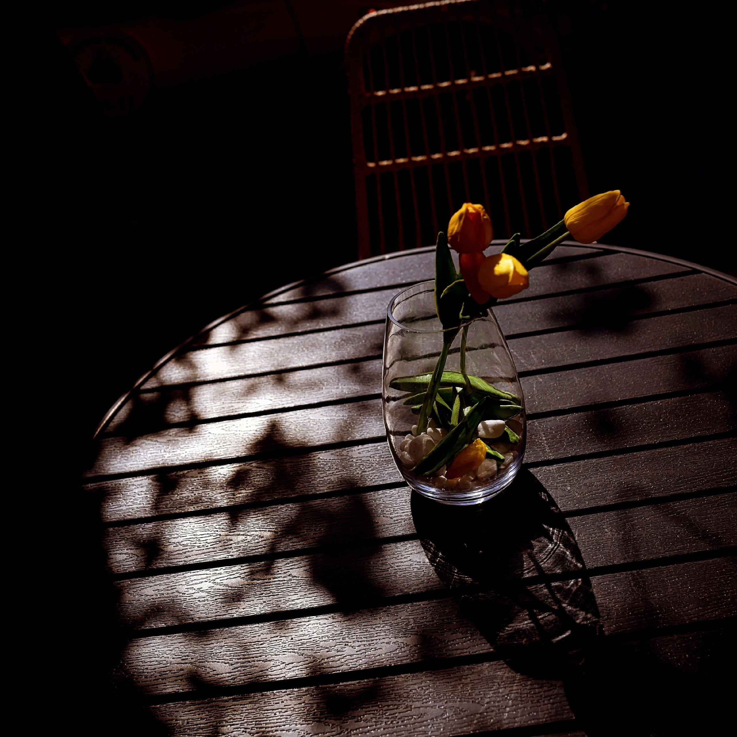 Цветные фотографии. Фотографии Лены Соколовой