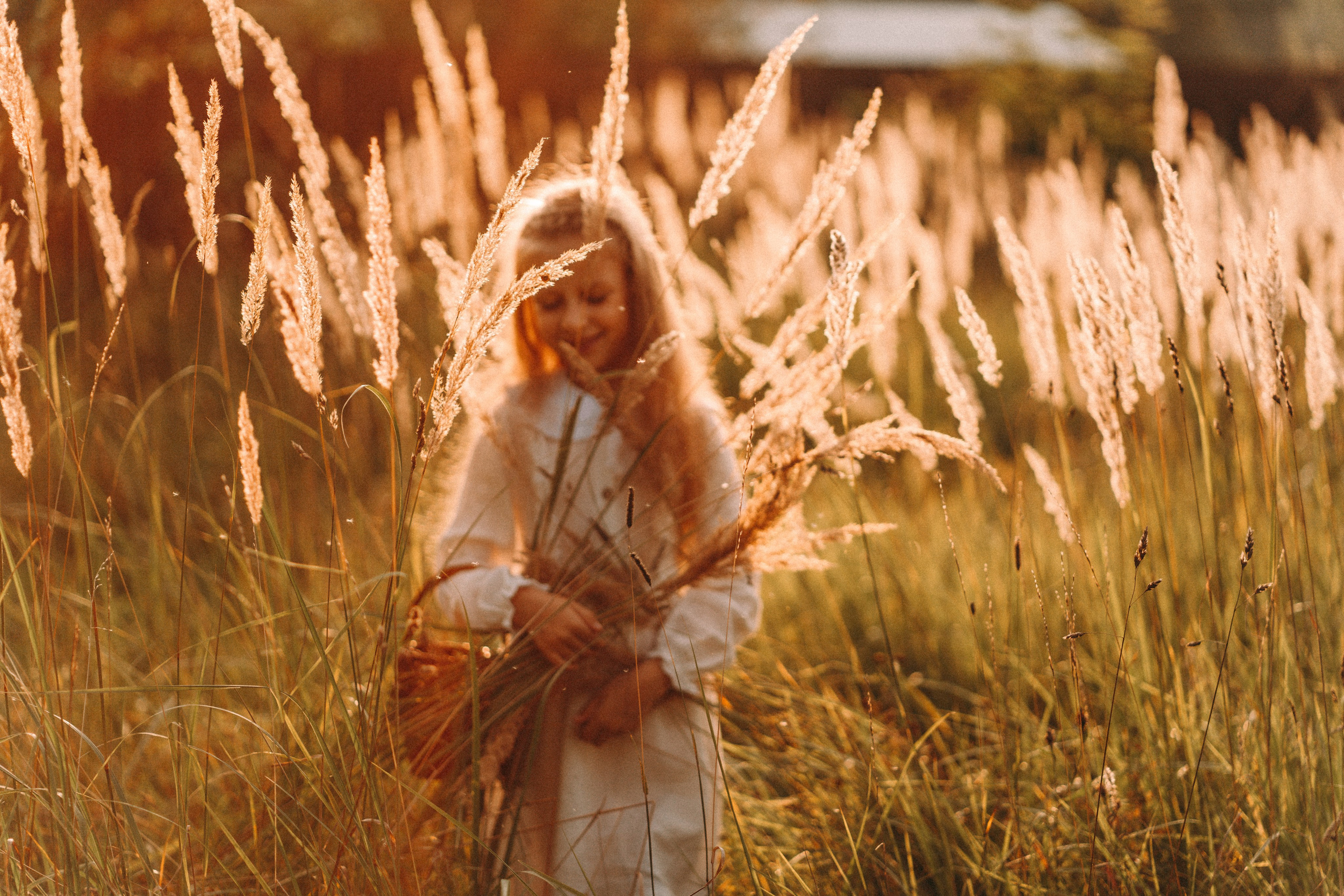 Летнее золото в волосах. Главная