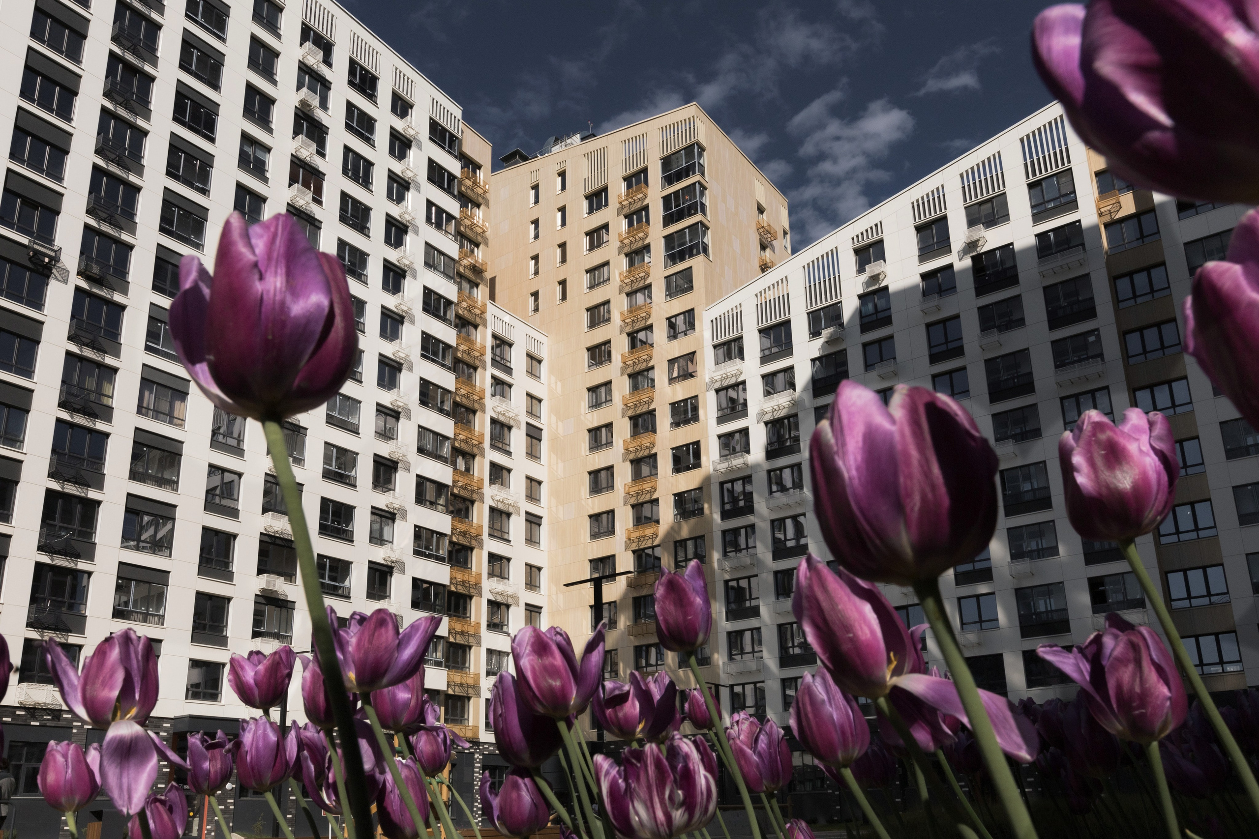 ЖК  СКАНДИНАВИЯ. АЛТ Портфолио