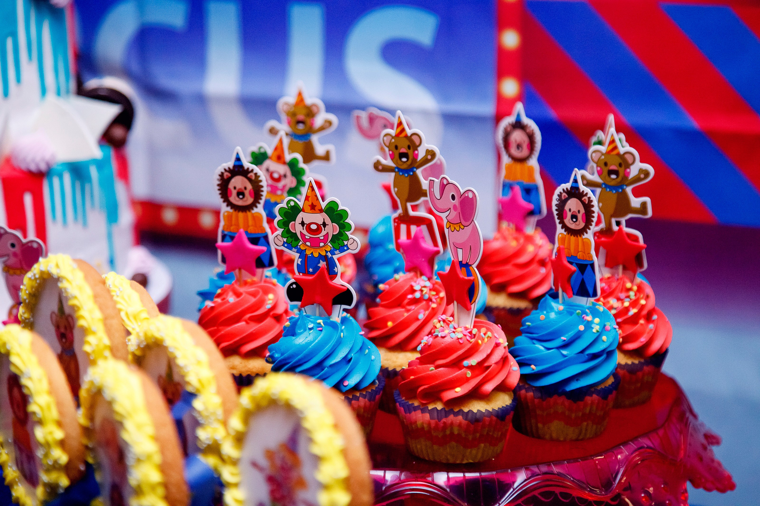 Мероприятия фото и видеосъемка