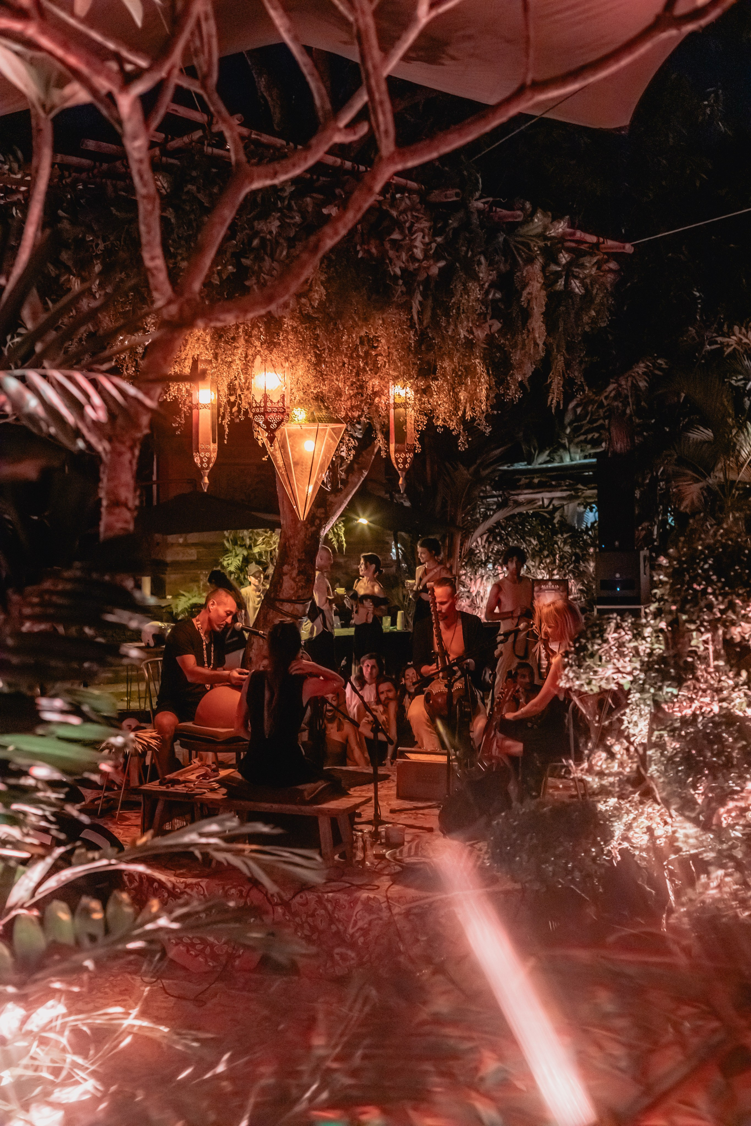 Alegria festival at Zest. Мариам Багдасарян