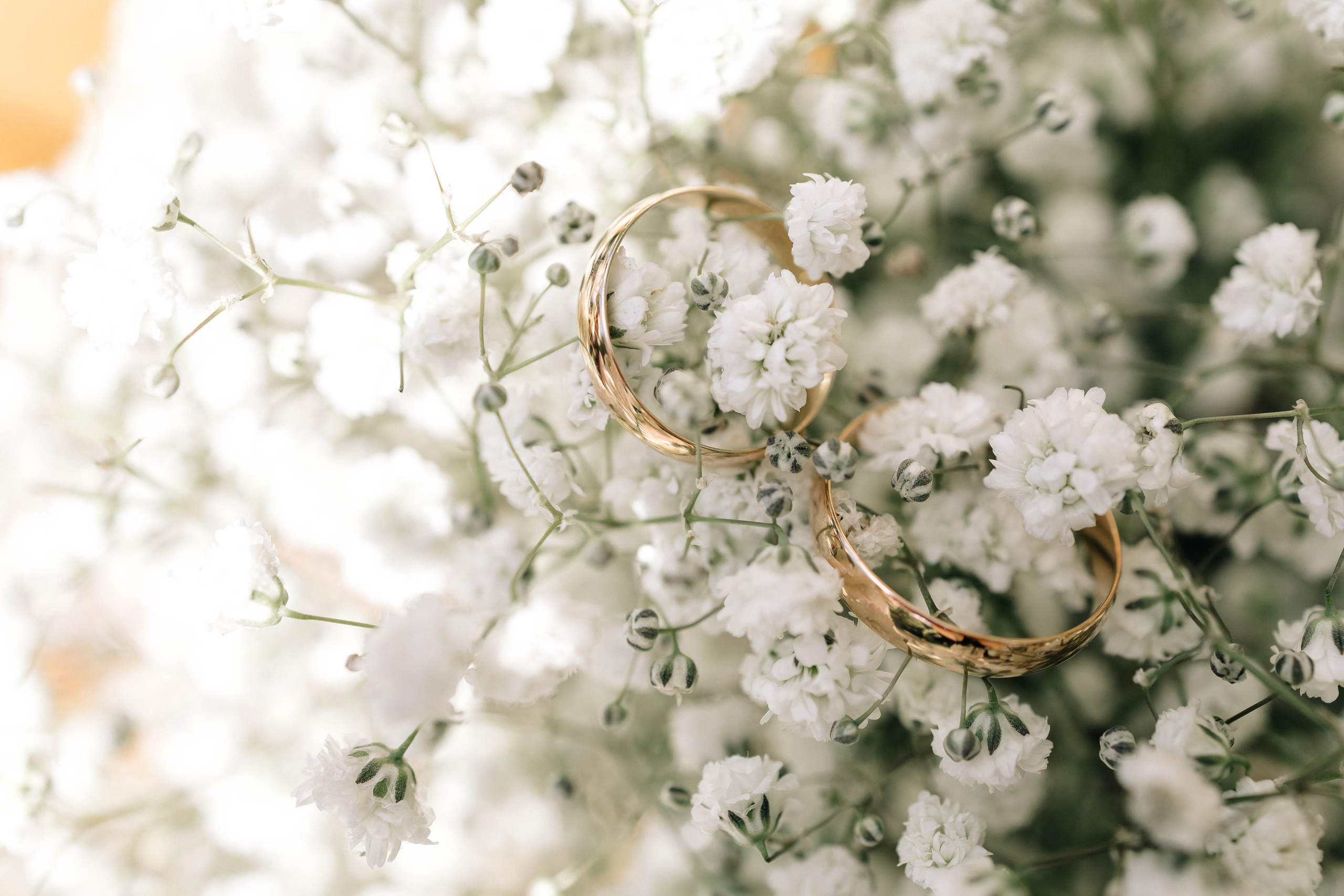 Слава и Леся. Свадебный и портретный фотограф Минск Евсович Инна