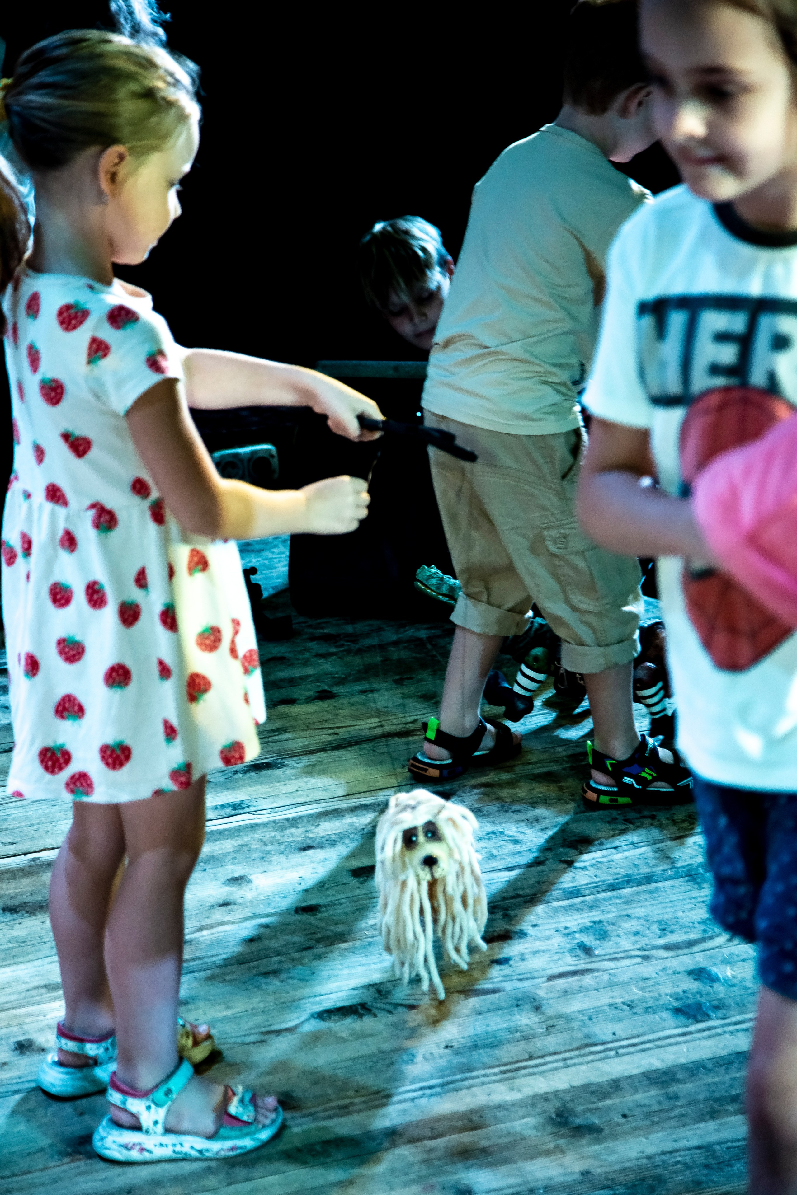 Человек с луны — спектакль кукольного театр Саквояж. Фотограф в Сочи Юрий Шептаев