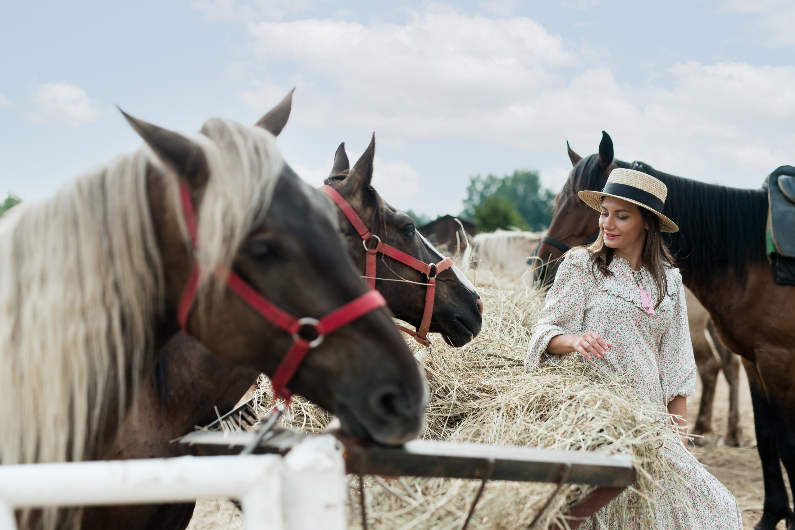 На конюшне. Семейный и контент фотограф