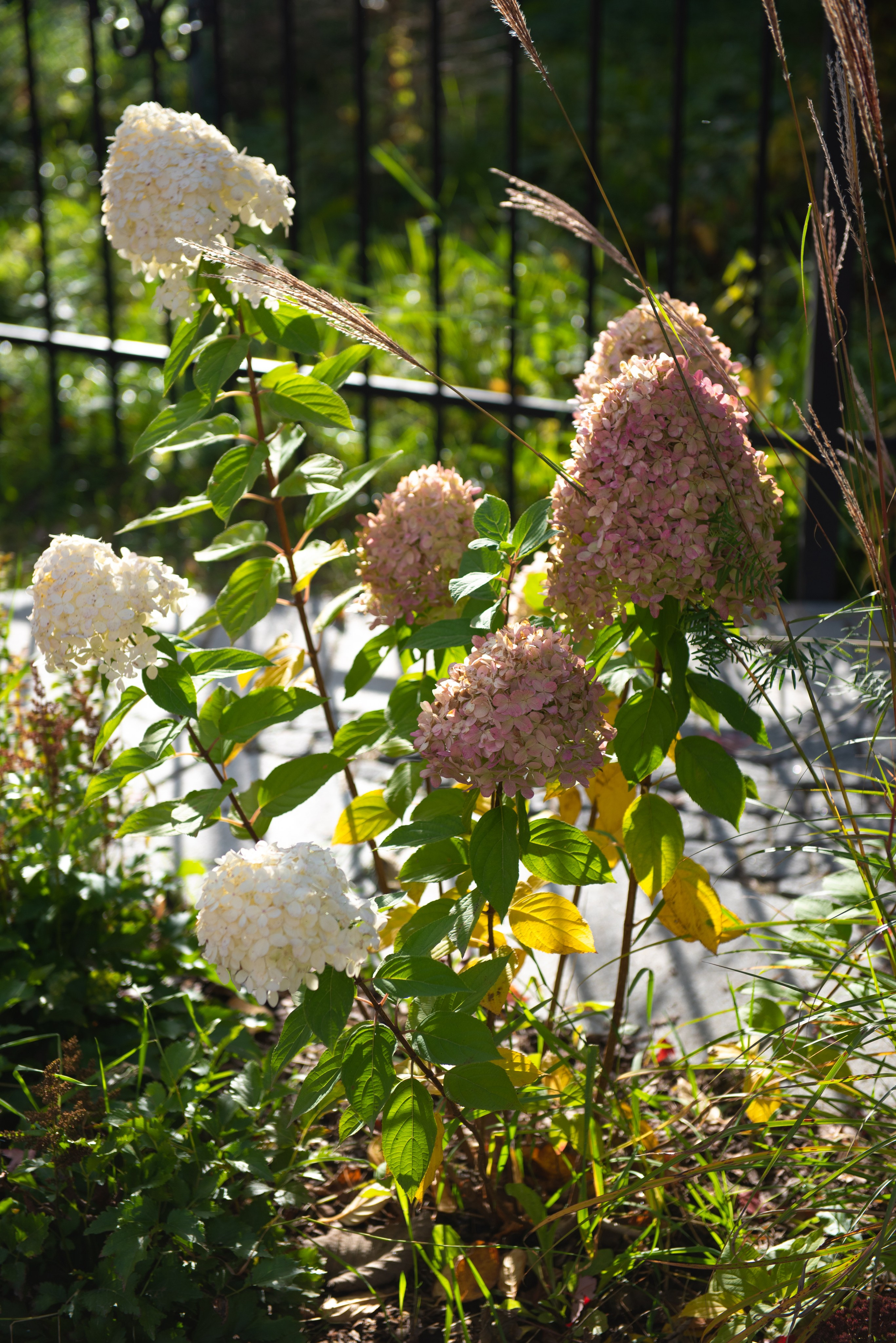 Печоры. Портретный и архитектурный фотограф в Москве и Санкт-Петербурге