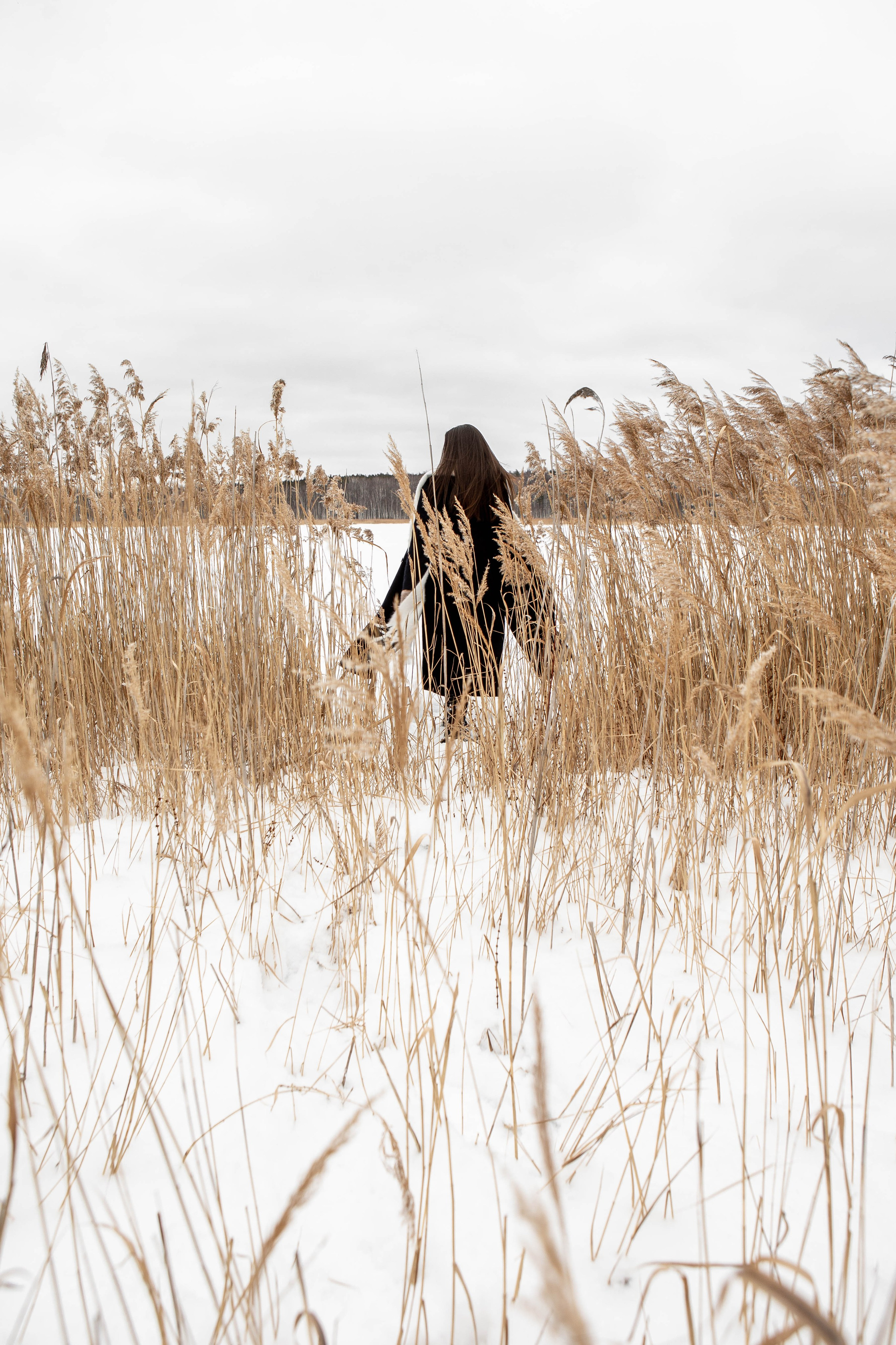 Зимняя прогулка. Фотограф Екатерина Голицына