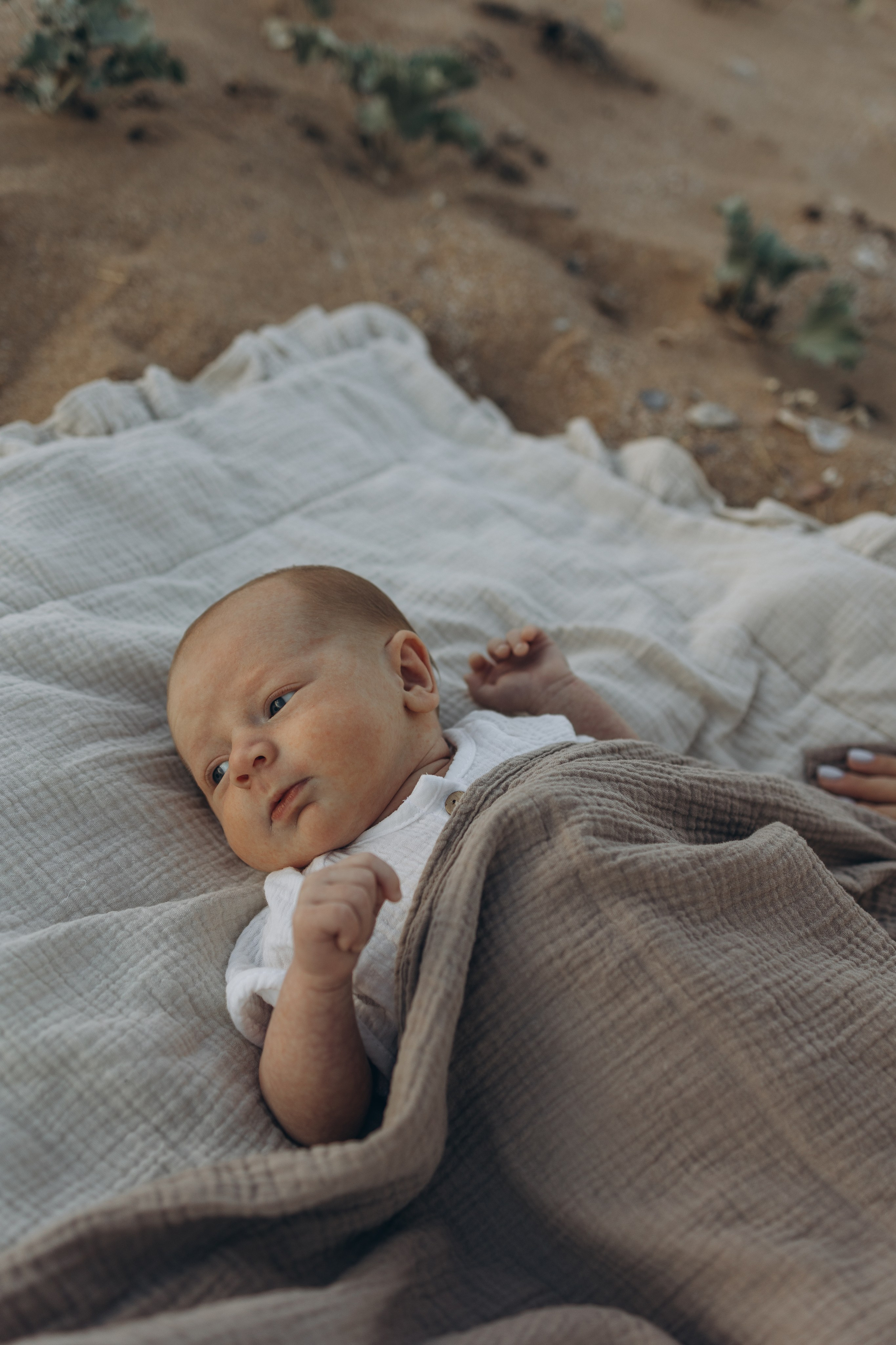 Евгения и Егор. Семейный фотограф в Москве Виктория Ястребинская