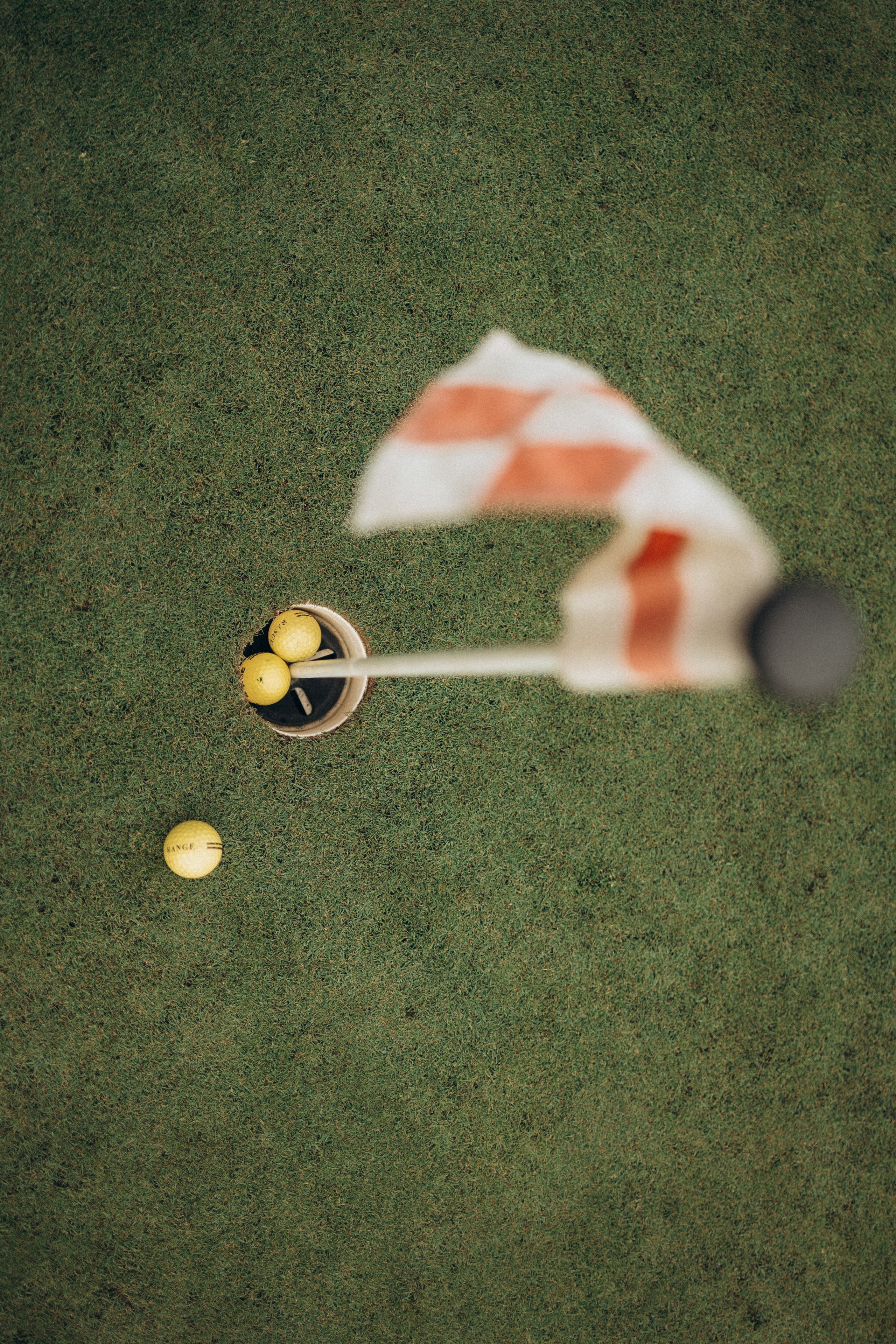 Корпоратив компании Аксон «игра в гольф». Фотограф Артем Бросов в Санкт-Петербурге и Дубае