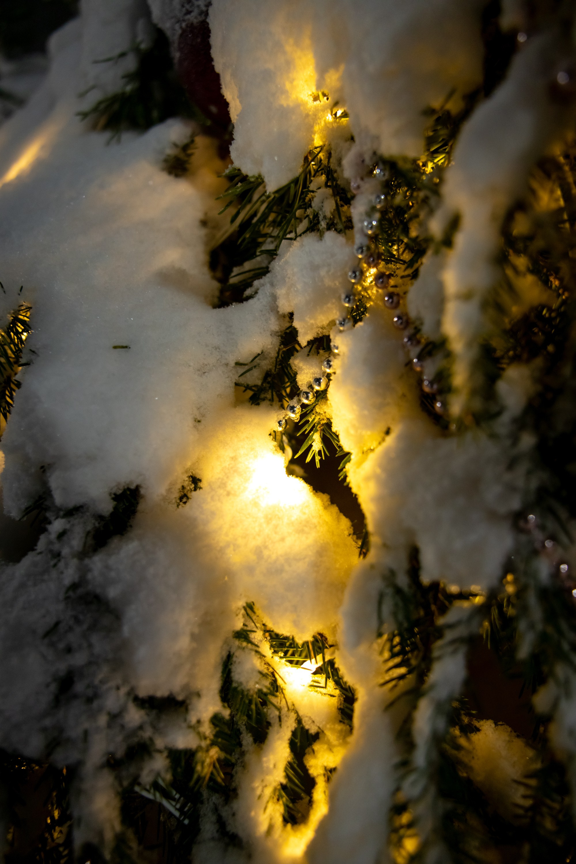 Новогодняя фотосессия в Костроме. Портретный фотограф в Костроме Наталия Клевинскас