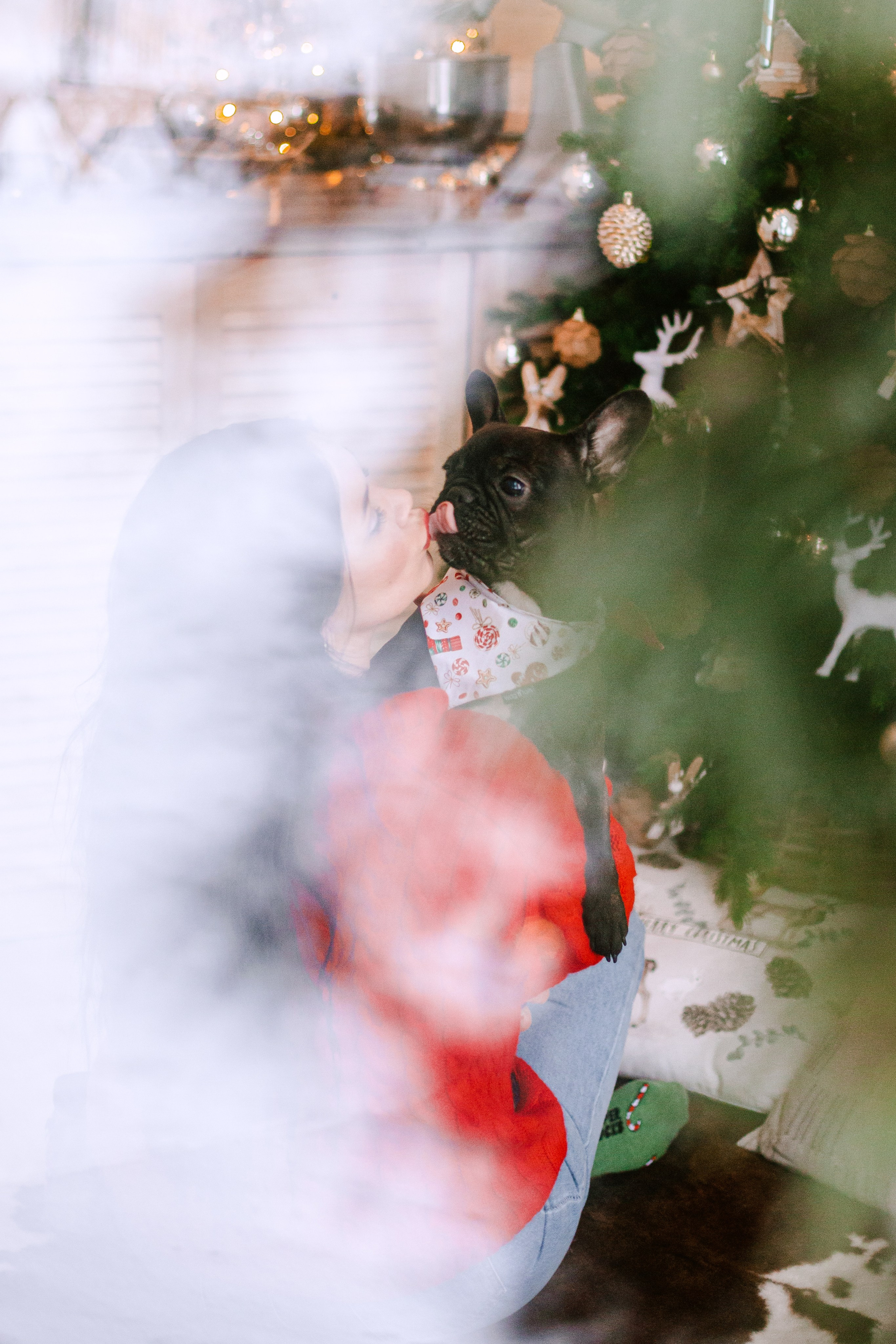 Кантри Хаус. Фотограф-анималист Татьяна Степанова