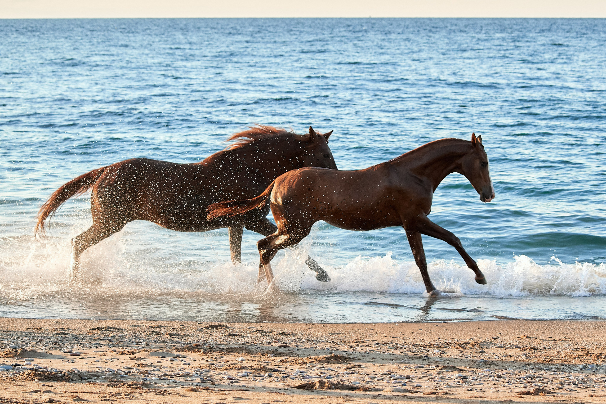 Галактика и Кассиопея. Фотограф в Севастополе