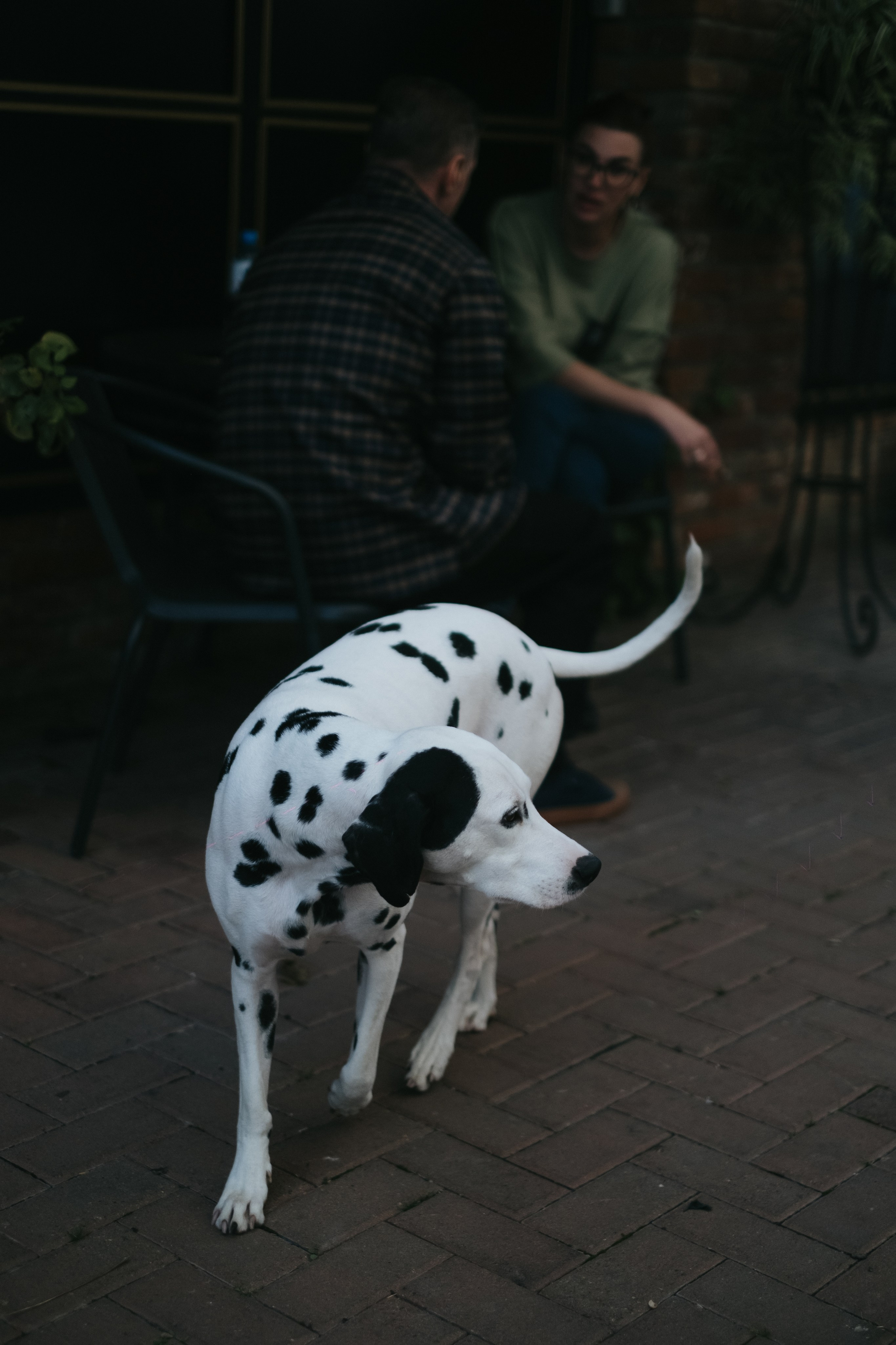 Форум-выставка АРХИДИЗАЙН. Свадебный и репортажной фотограф Денис Ожигин в Краснодаре и Краснодарском крае