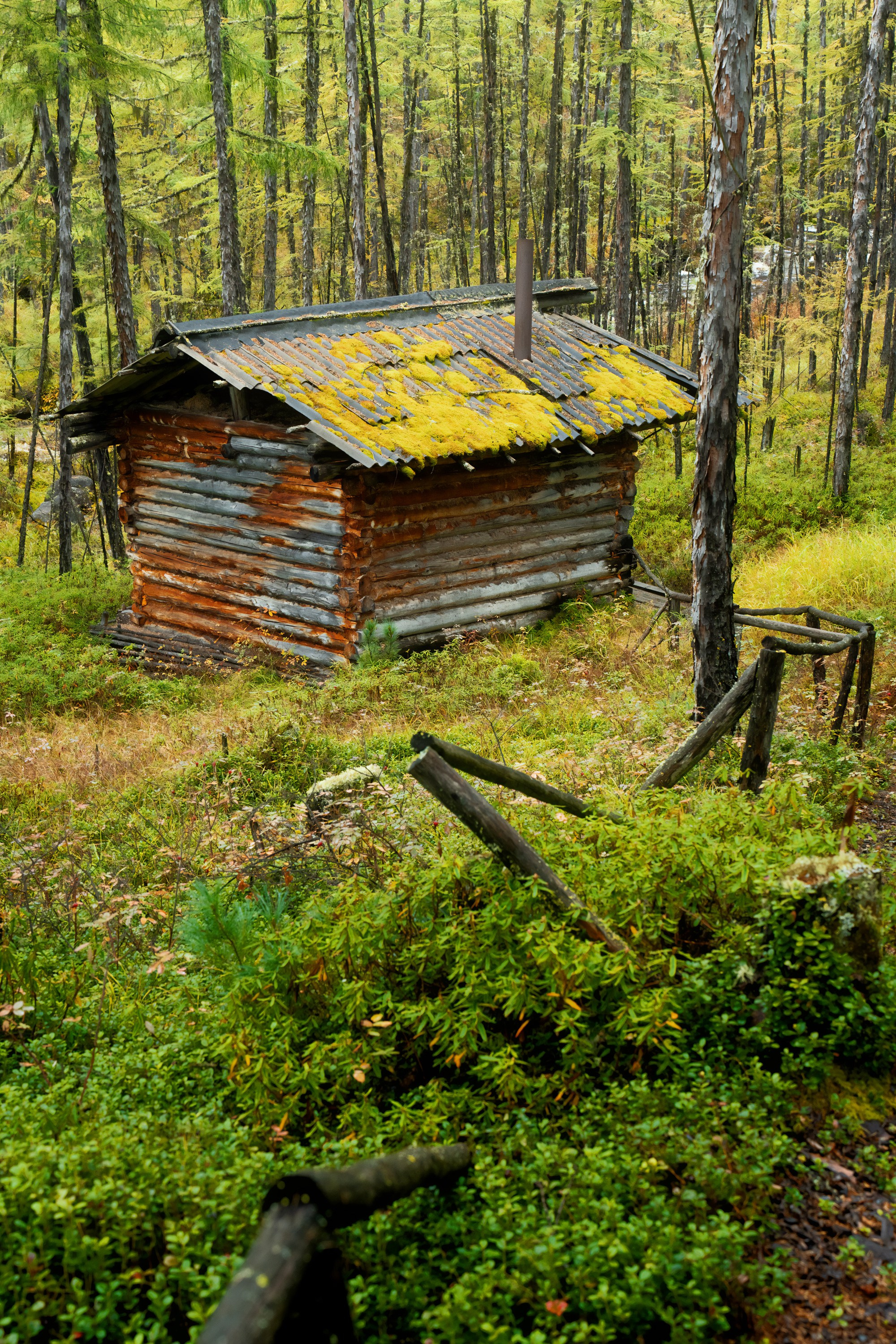 Буреинский заповедник. Фотограф в Хабаровске. Фотография за 24 часа