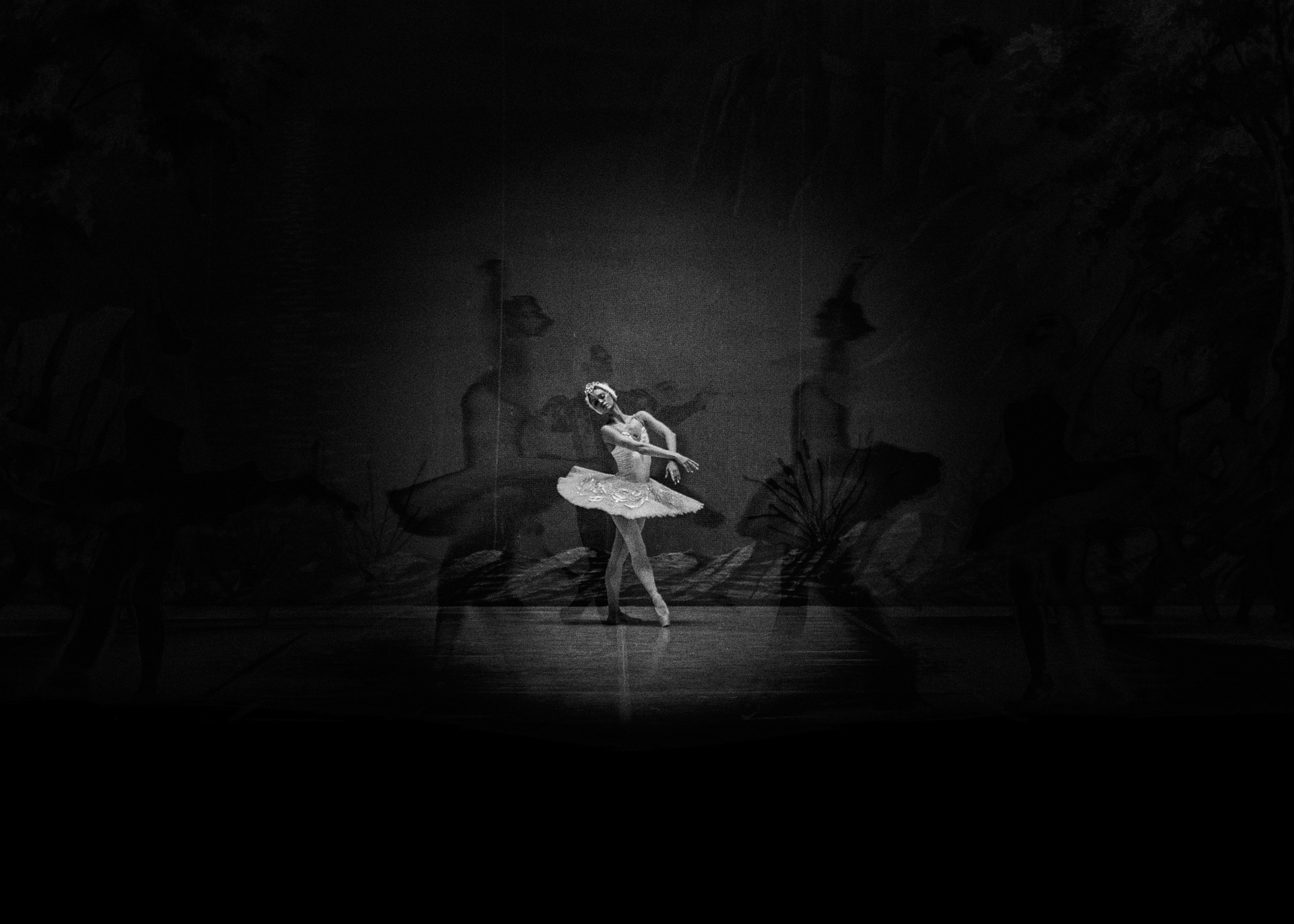 Балет «Лебединое озеро». Наталья Алексеенко. Фотохудожник в Москве. Репортаж, портрет, стрит