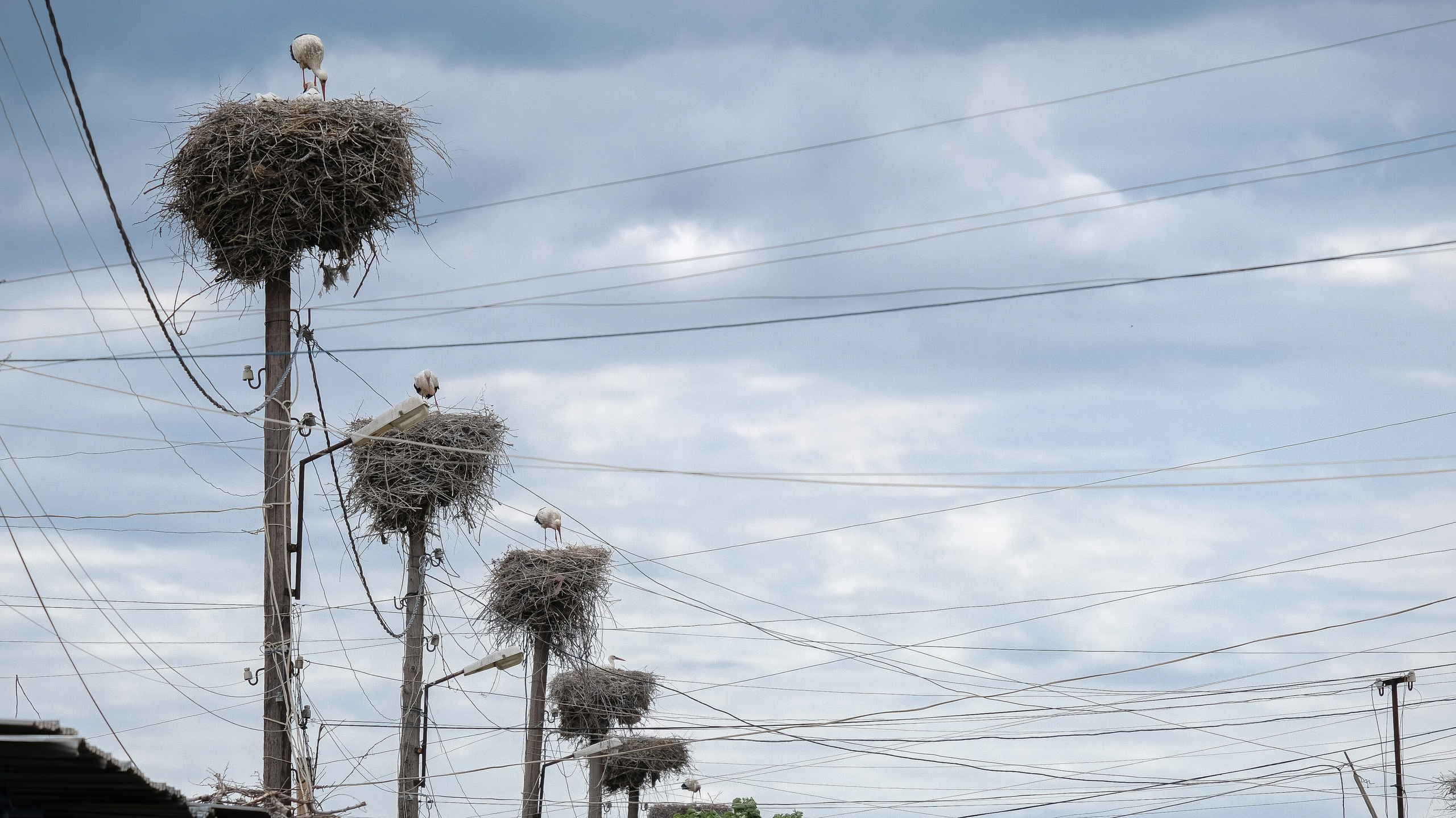 АРМЕНИЯ. ПОБУДЬ ЗДЕСЬ И ЦЕЛЕЕ БУДЕТ ЭТОТ МИР