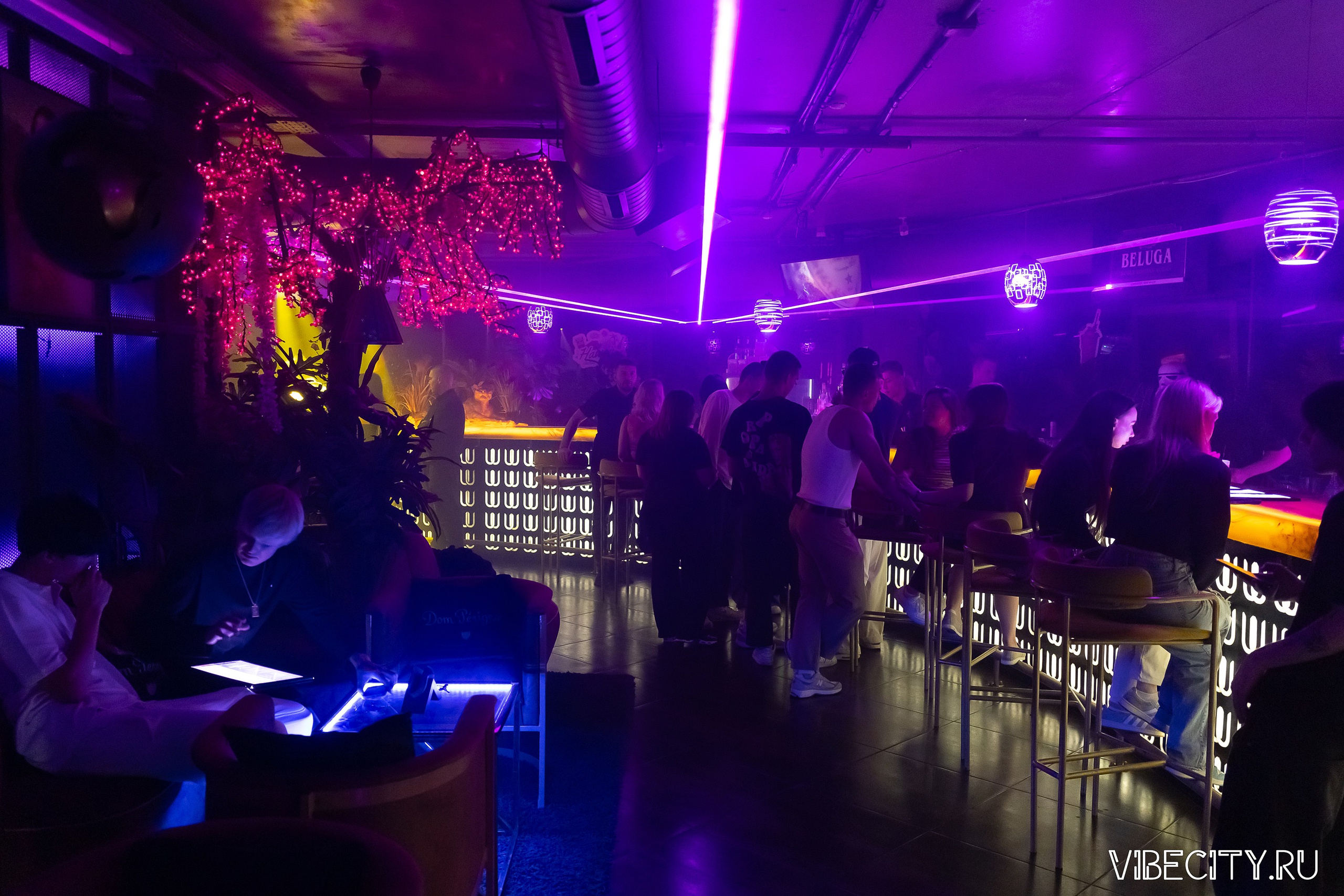 DOUBLE U. VIBECITY.RU Вайб Сити Ру Фоторепортажи Фотоотчеты Калининград