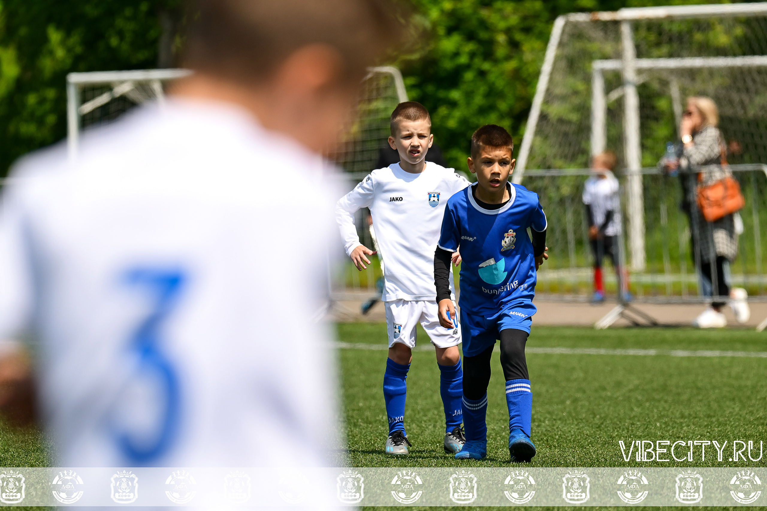 Большие Звезды светят Малым. VIBECITY.RU Вайб Сити Ру Фоторепортажи Фотоотчеты Калининград