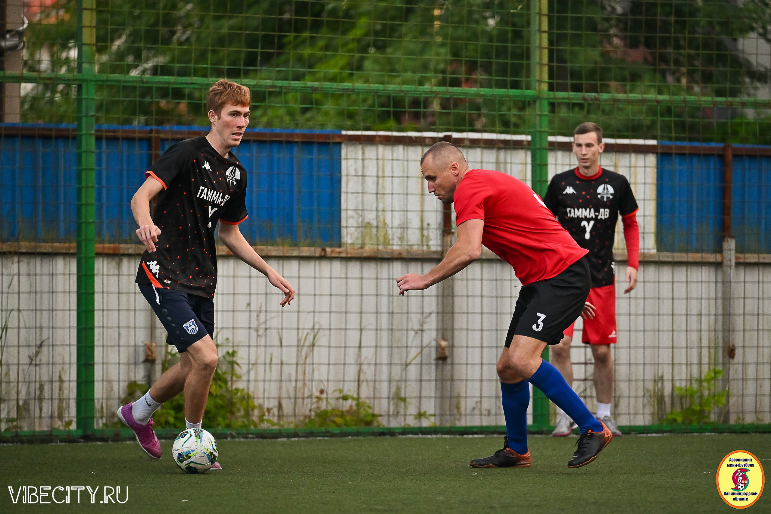 ИГРЫ ПЛЕЙ-ОФФ ПЕРВОГО ДИВИЗИОНА МИНИ-ФУТБОЛЬНОЙ ЛИГИ. VIBECITY.RU Вайб Сити Ру Фоторепортажи Фотоотчеты Калининград