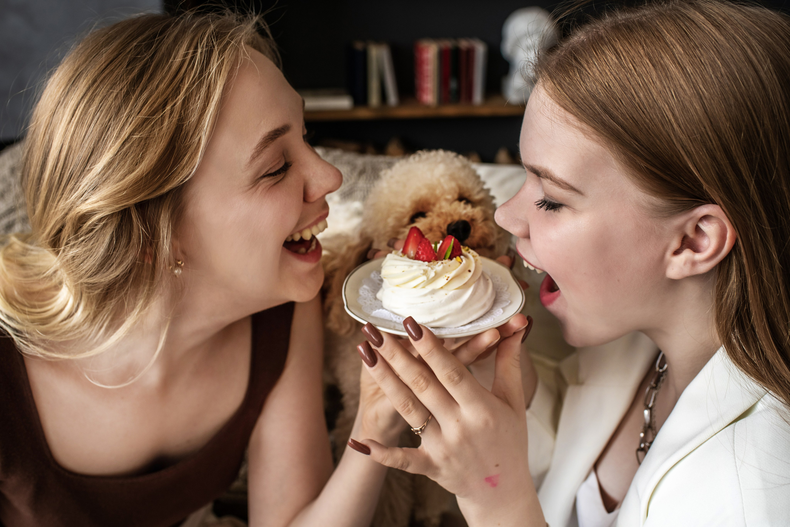 Александр, Елена, Александр, Евгения, Анастасия и Один. Женский, семейный и контент-фотограф в Оренбурге Анна Соловых