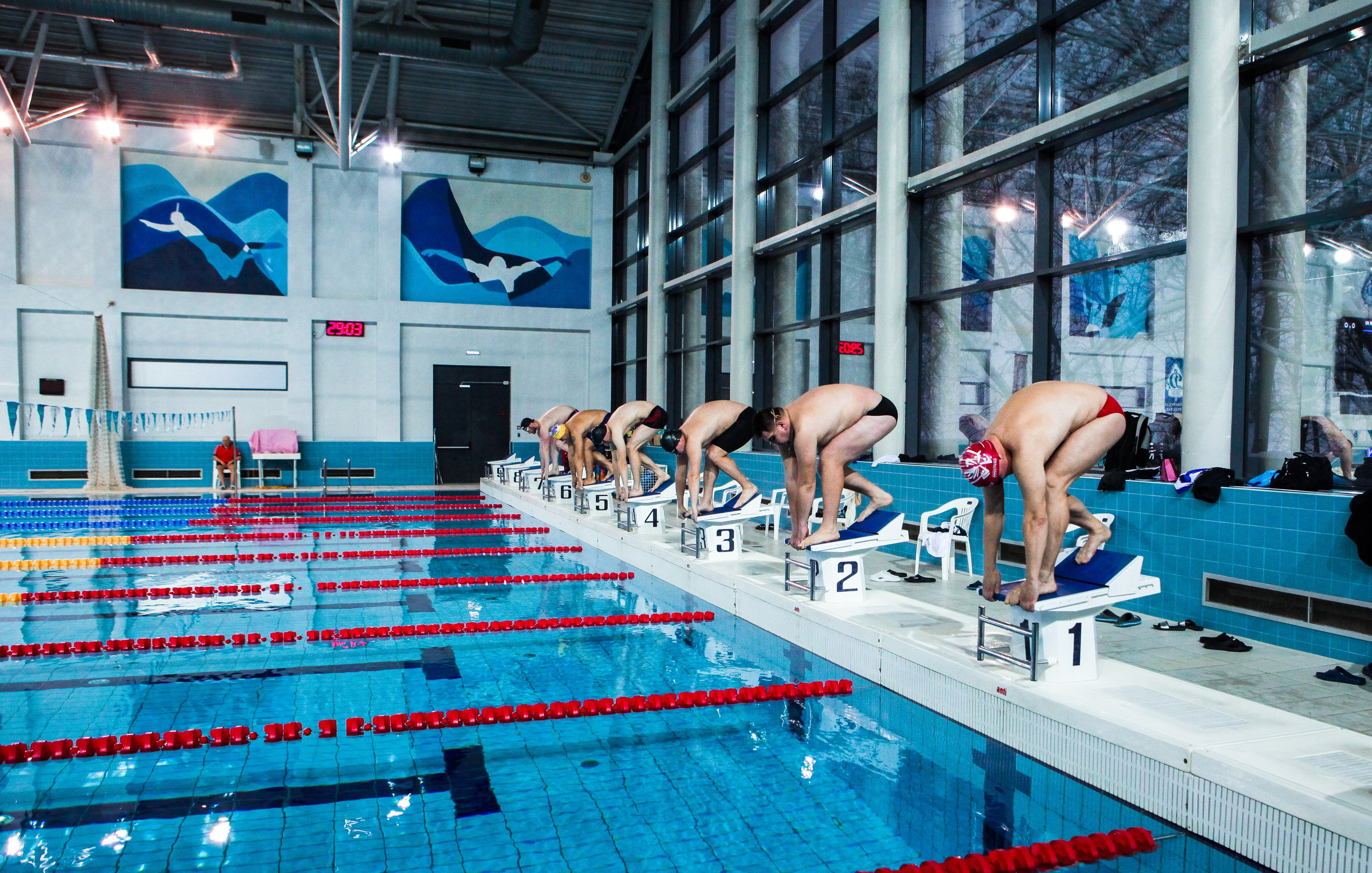 Соревнования по плаванию. Репортажный, семейный, свадебный, портретный фотограф