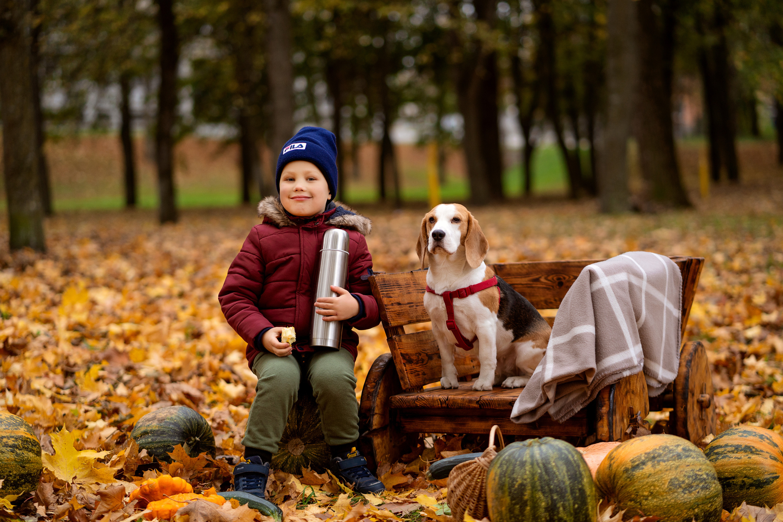 Осенние мотивы. Семейный и свадебный фотограф Минск, Беларусь Анна Орловская