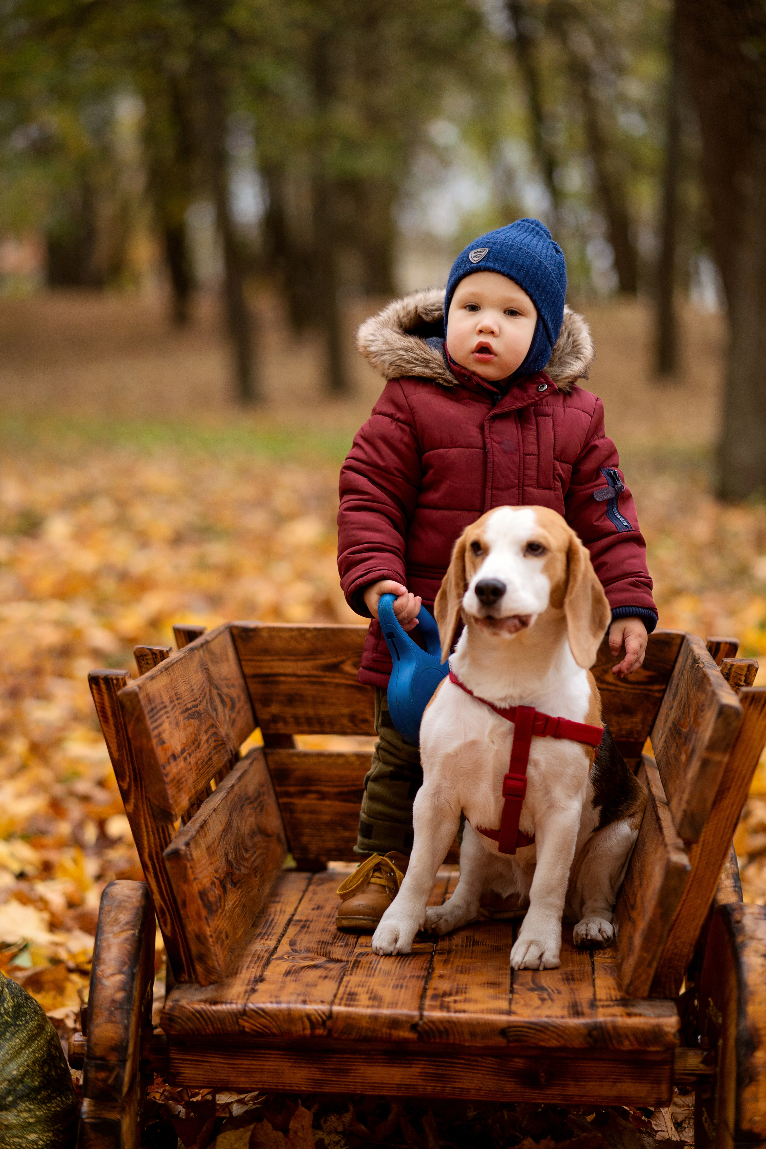 Осенние мотивы. Семейный и свадебный фотограф Минск, Беларусь Анна Орловская