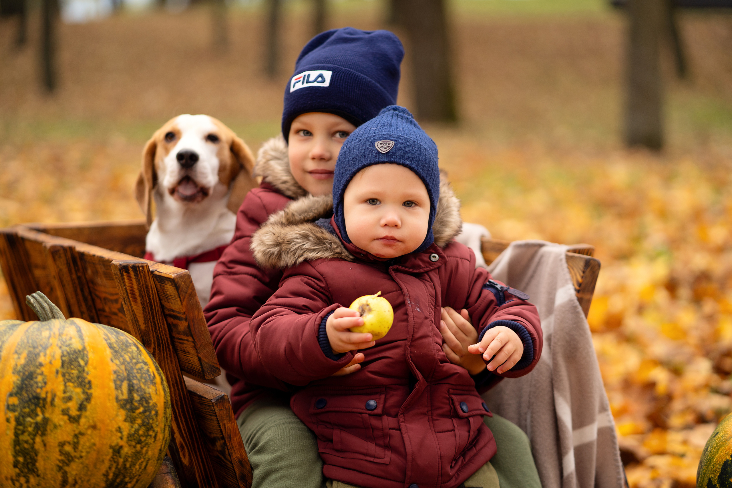 Осенние мотивы. Семейный и свадебный фотограф Минск, Беларусь Анна Орловская