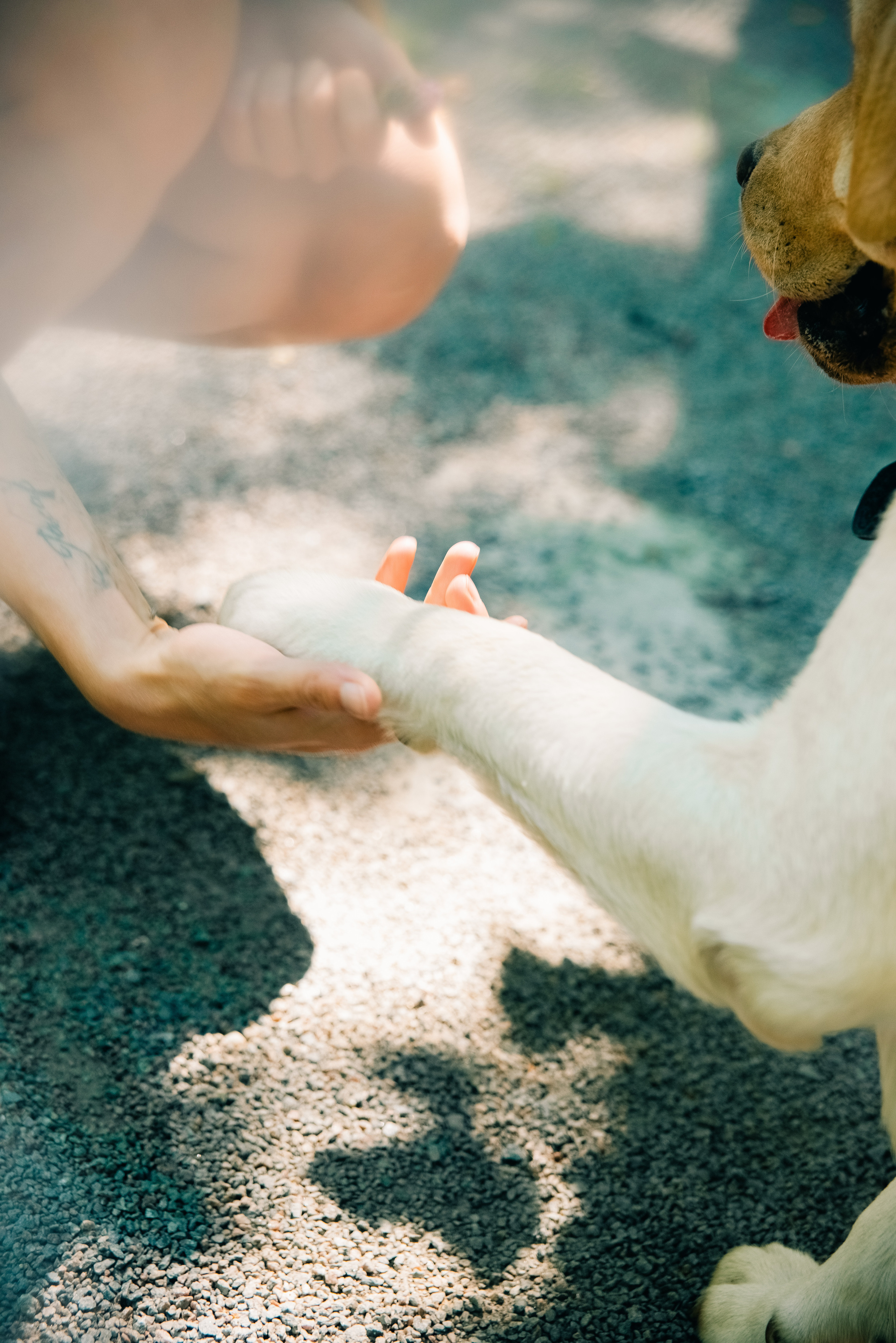 Маша. Александра Мельник I Фотограф Москва