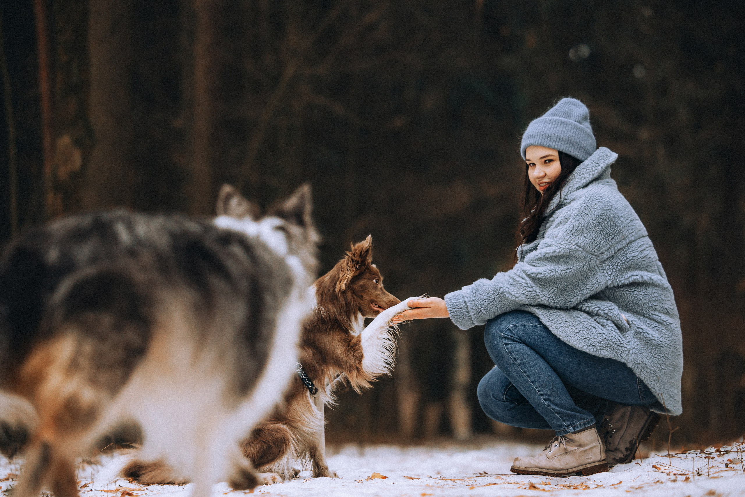 Полина, Милли и Паддингтон
