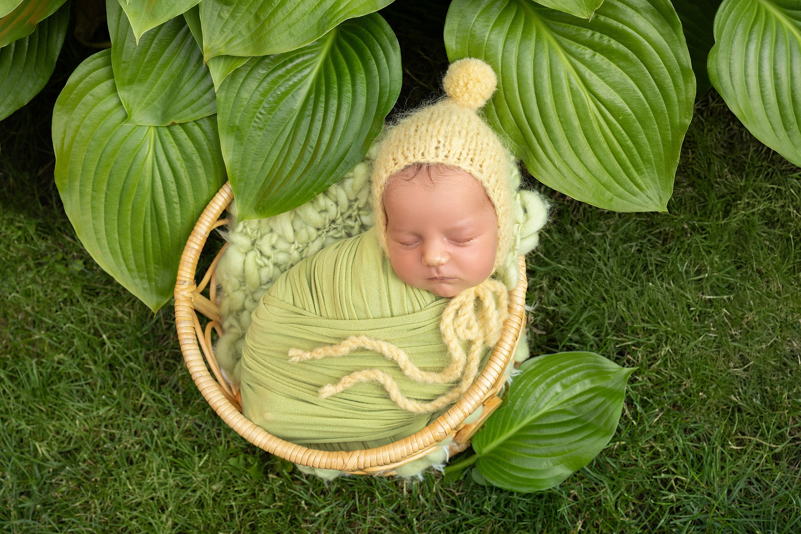 Фотограф новорожденных в г. Ростове-на-Дону Инна Дурасова