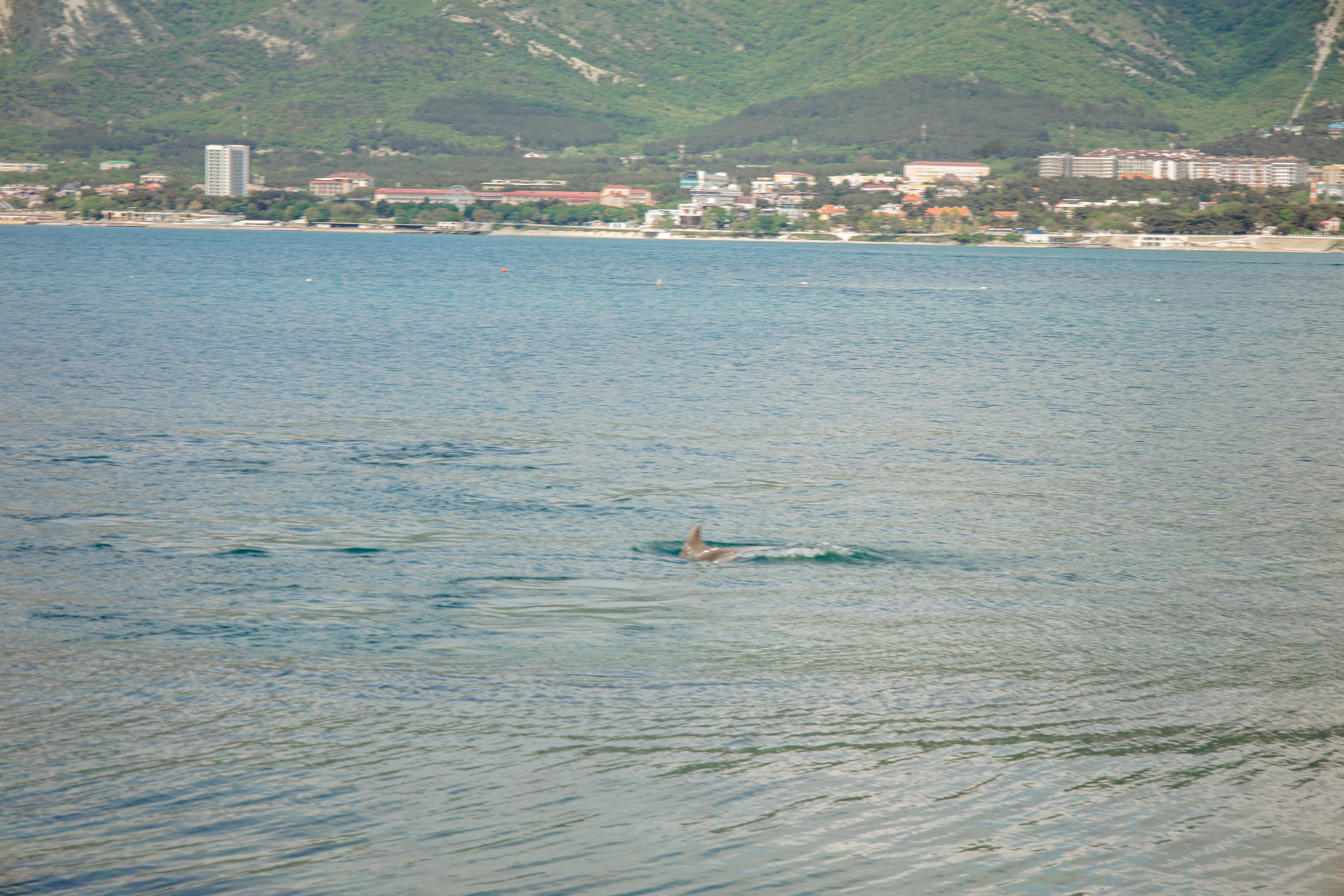 Татьяна. Фотограф в Геленджике, Архипо-Осиповке, Абрау-Дюрсо, Кринице Виктория