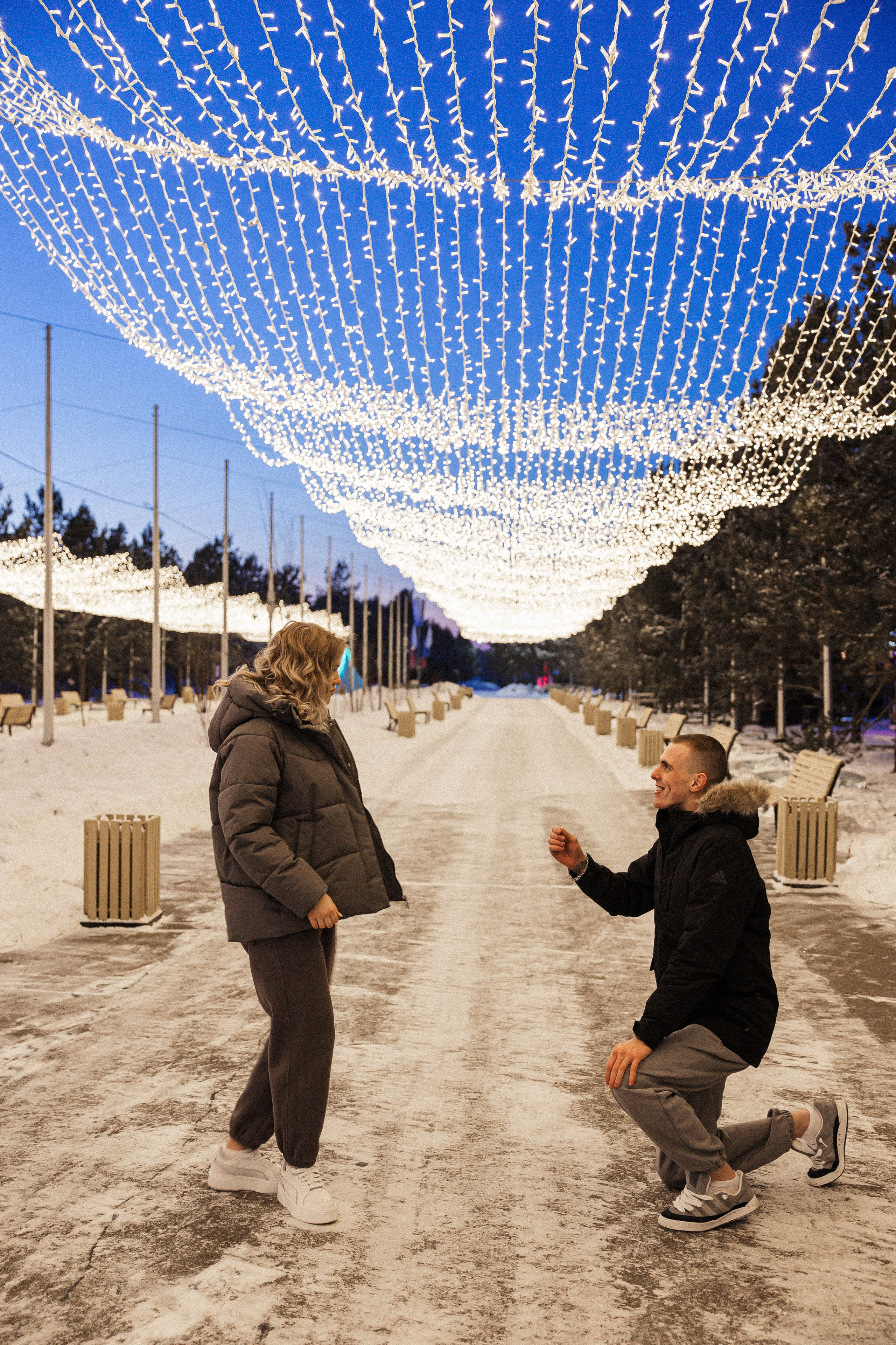 Предложение. Главная