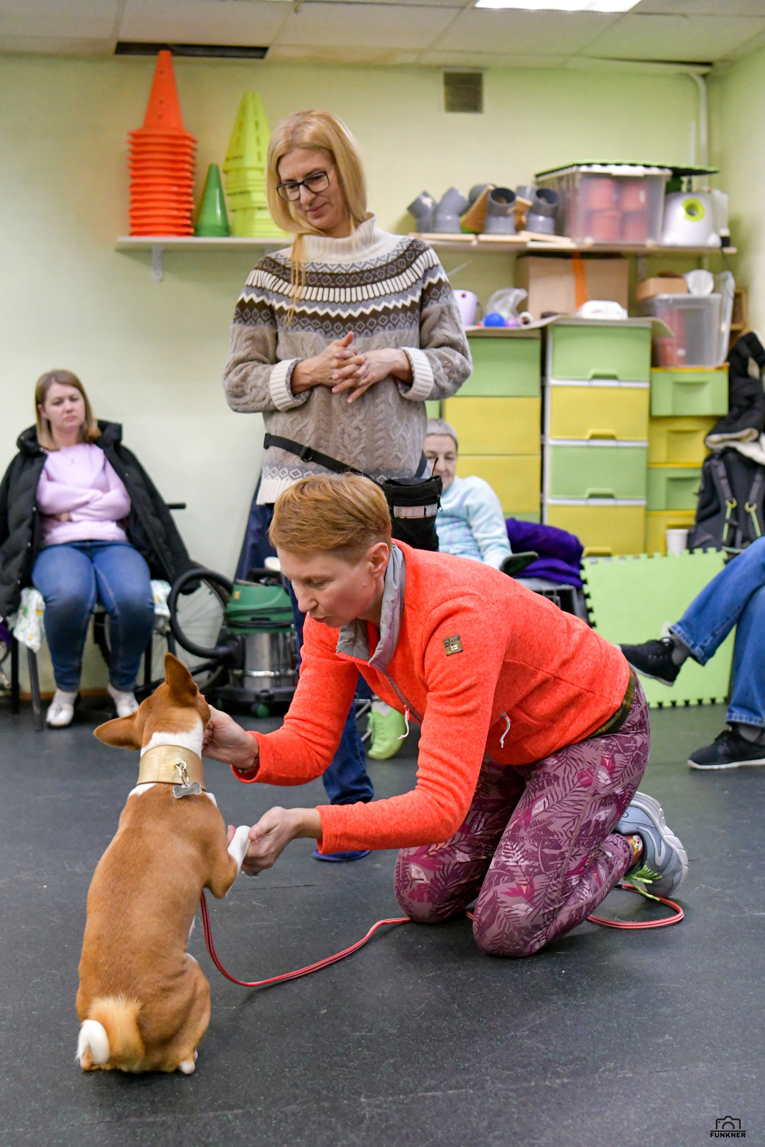 Кинологический клуб «Бодрый хвост». Свой взгляд через объектив