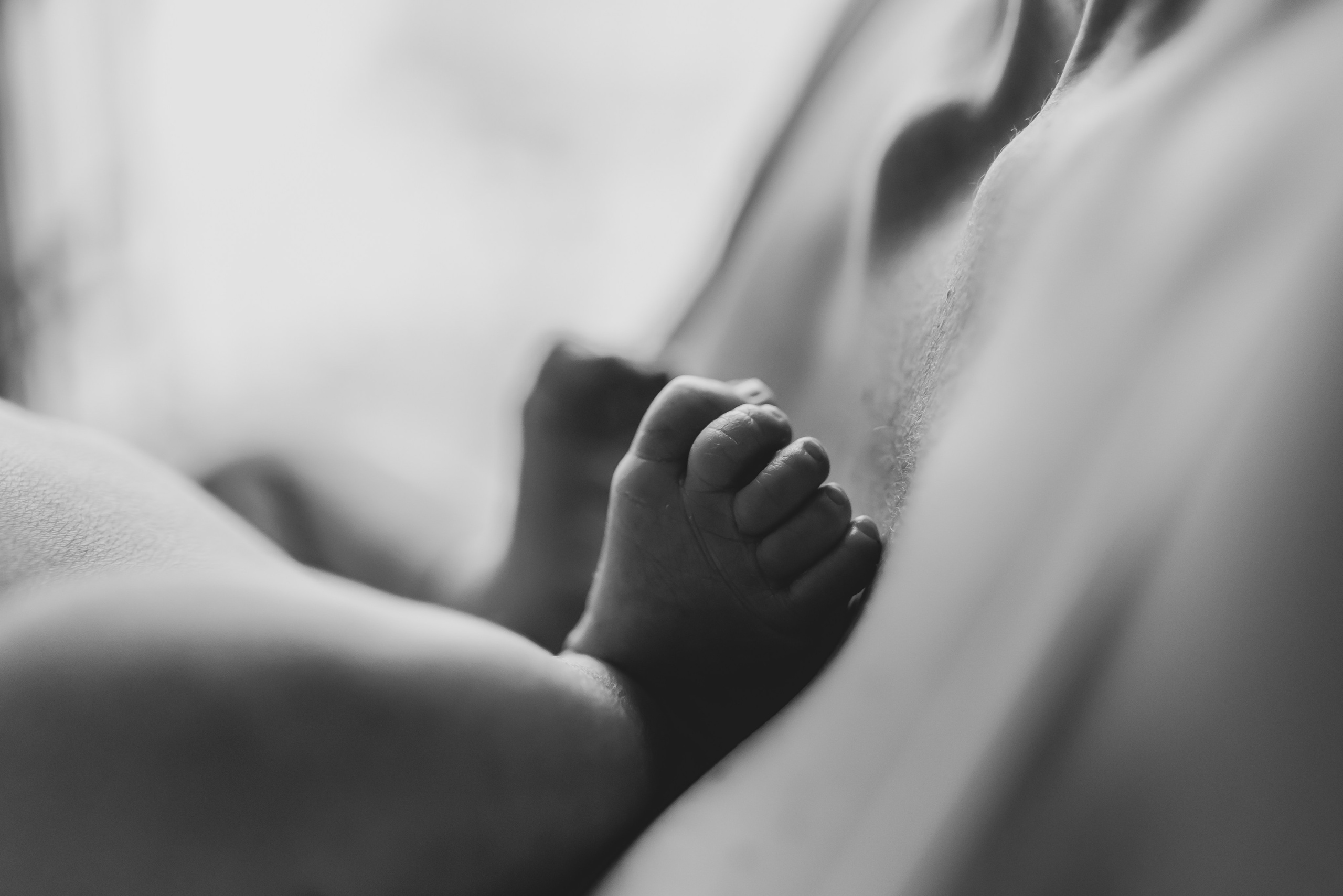 Alex. Natalia Finch Photography — Family, Kids & Pet Photographer in Chicago, IL