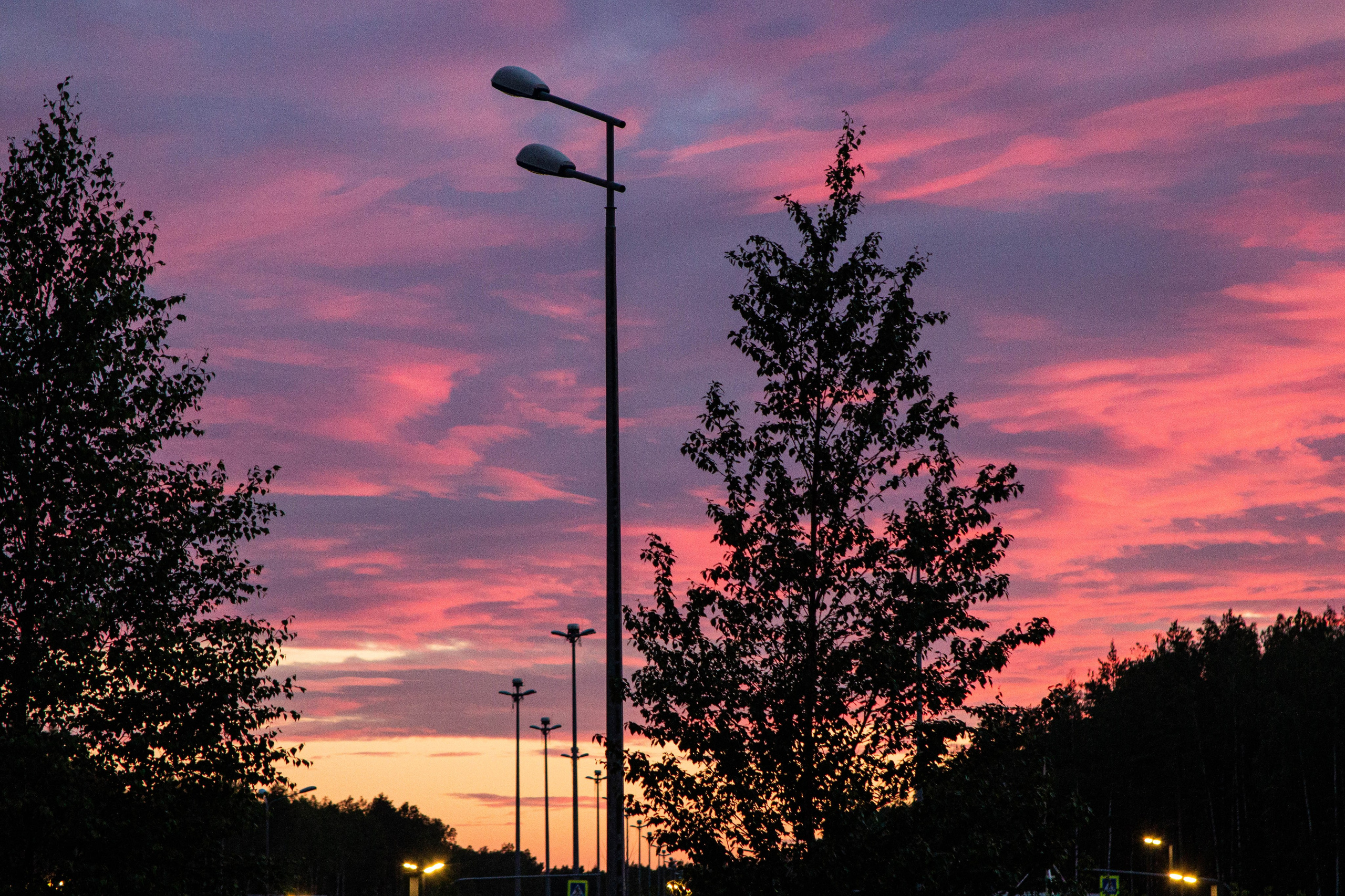 Портфолио. Natashaleto. Моменты в фотоснимках. Портретный / и не только/ фотограф Наталья. Санкт-Петербург