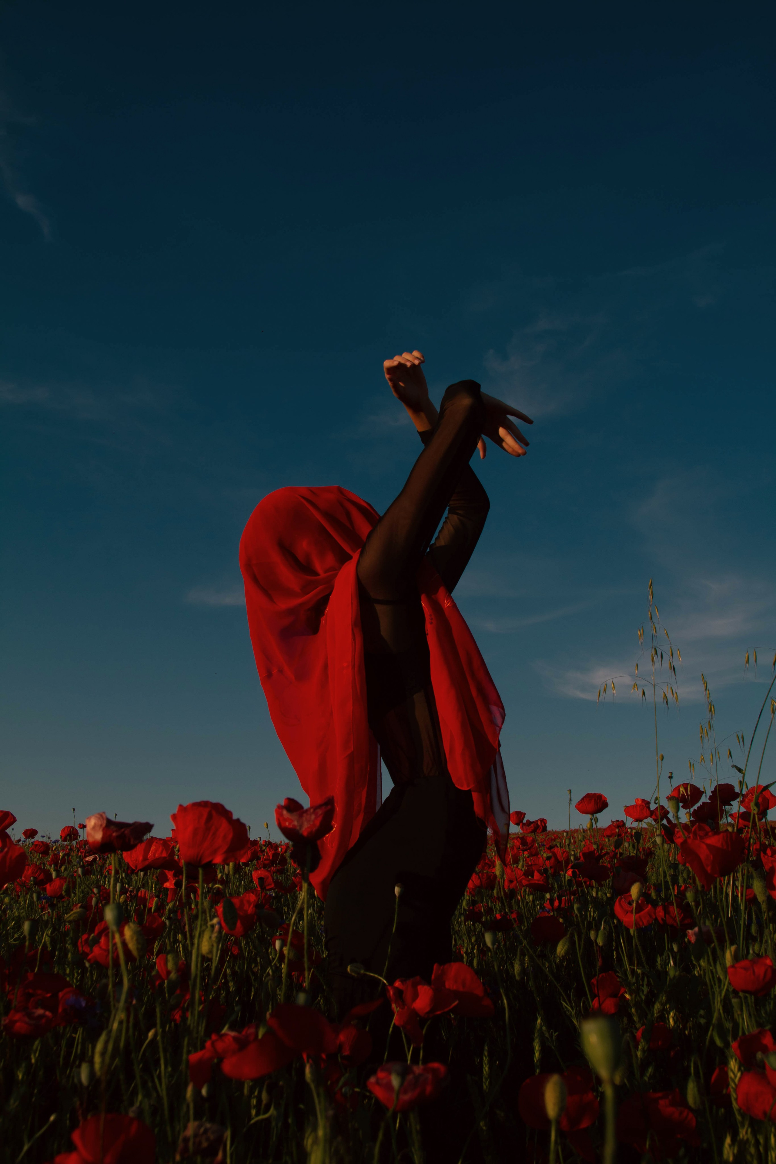 Маки. Семейный и свадебный фотограф в Краснодаре