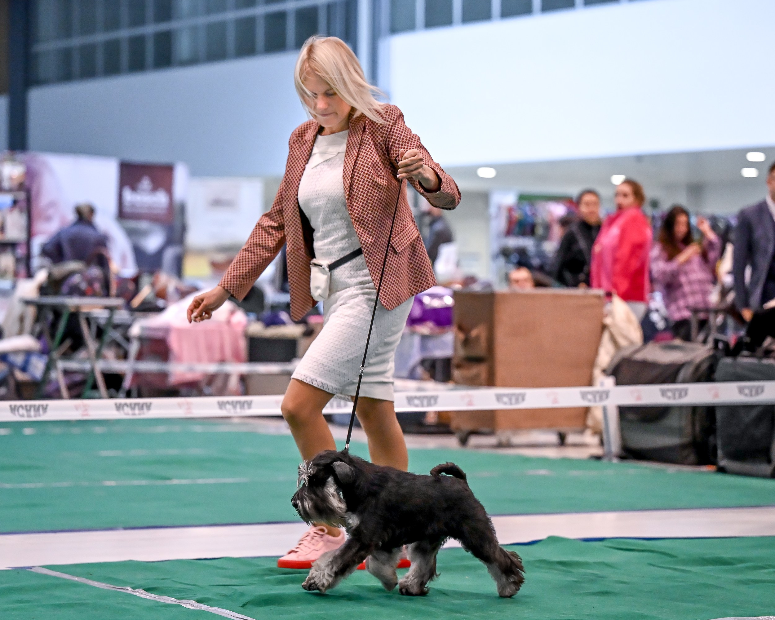 Delinso Balance Chivas Regal (Li Mu Zi Chinese Dragon x Delinso Balance Onyrico Tahoe)