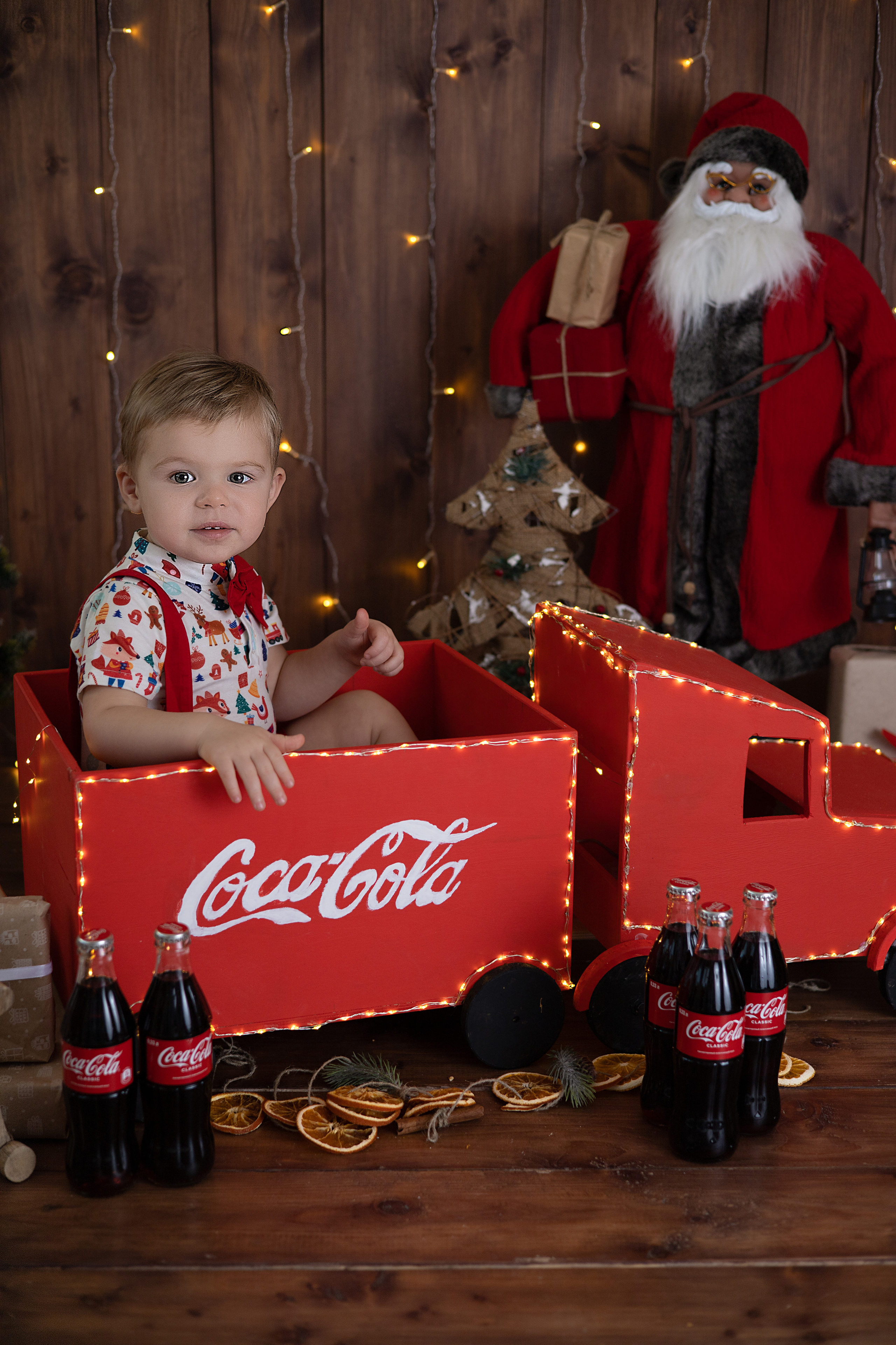 Лев. Детский новорождённых и детей постарше Анисимова Полина