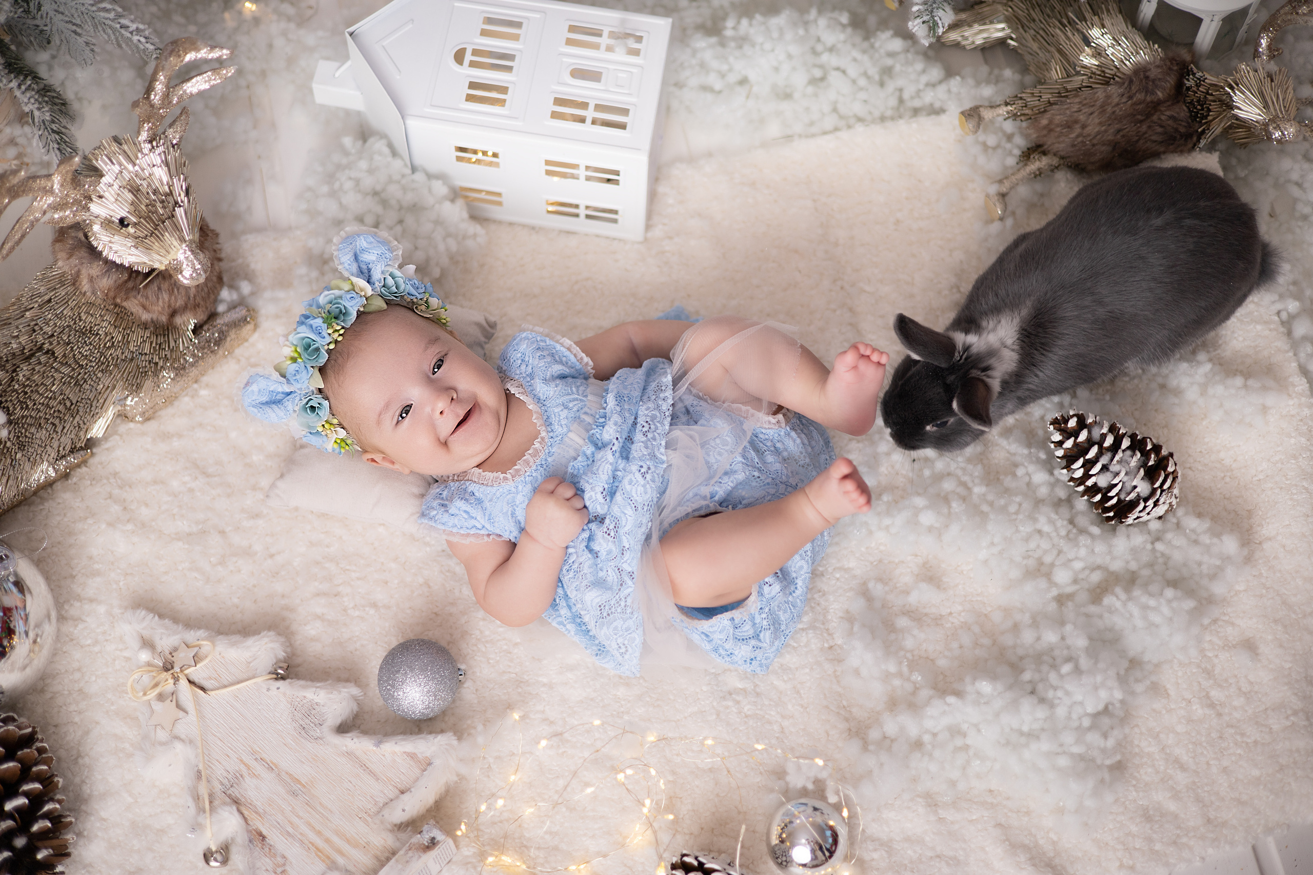 Алина и Ариша. Детский новорождённых и детей постарше Анисимова Полина