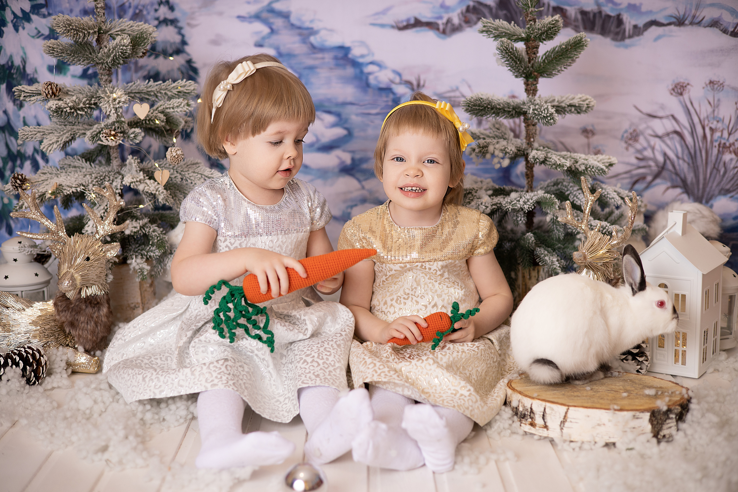 Настя и Катя. Детский новорождённых и детей постарше Анисимова Полина