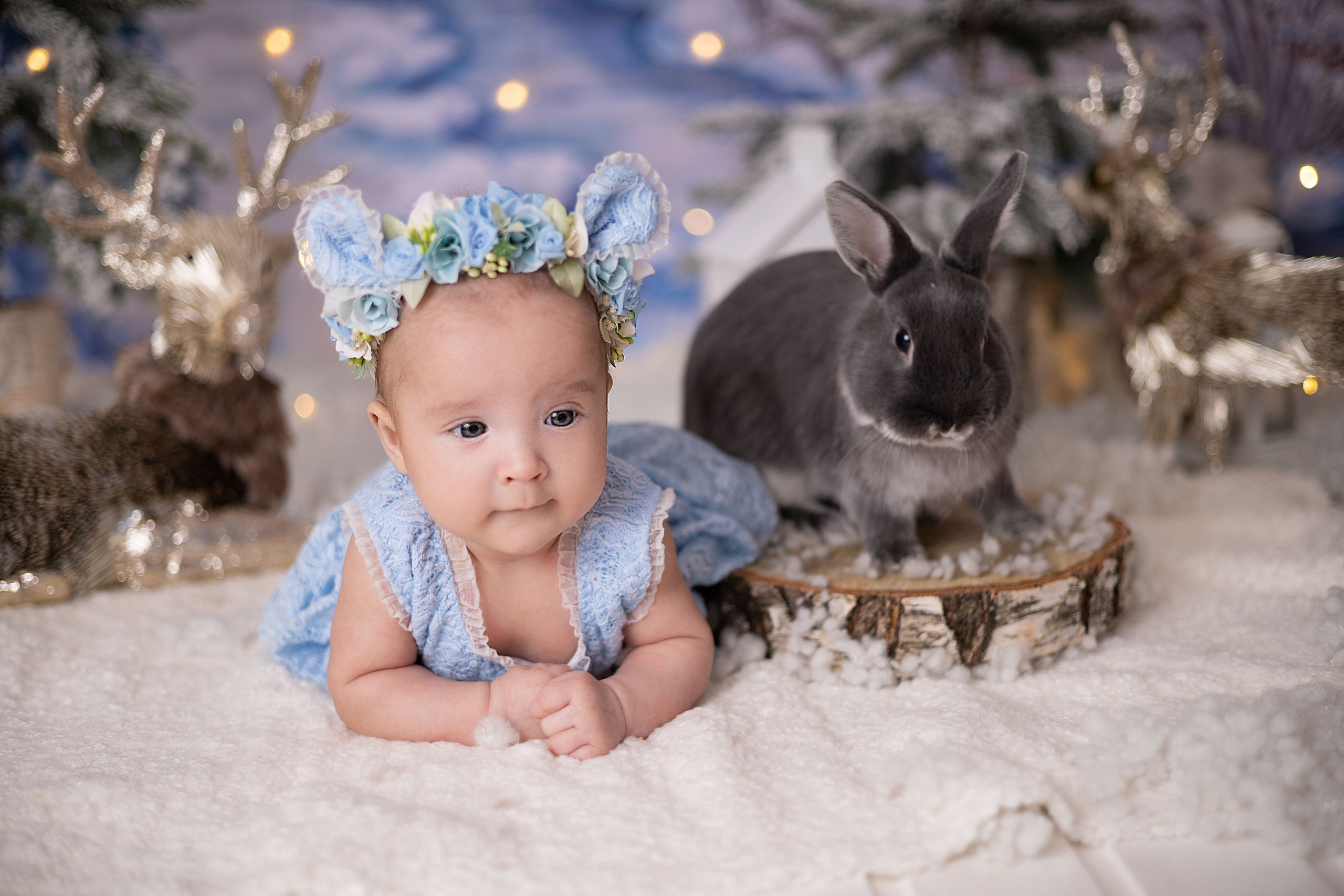 Алина и Ариша. Детский новорождённых и детей постарше Анисимова Полина