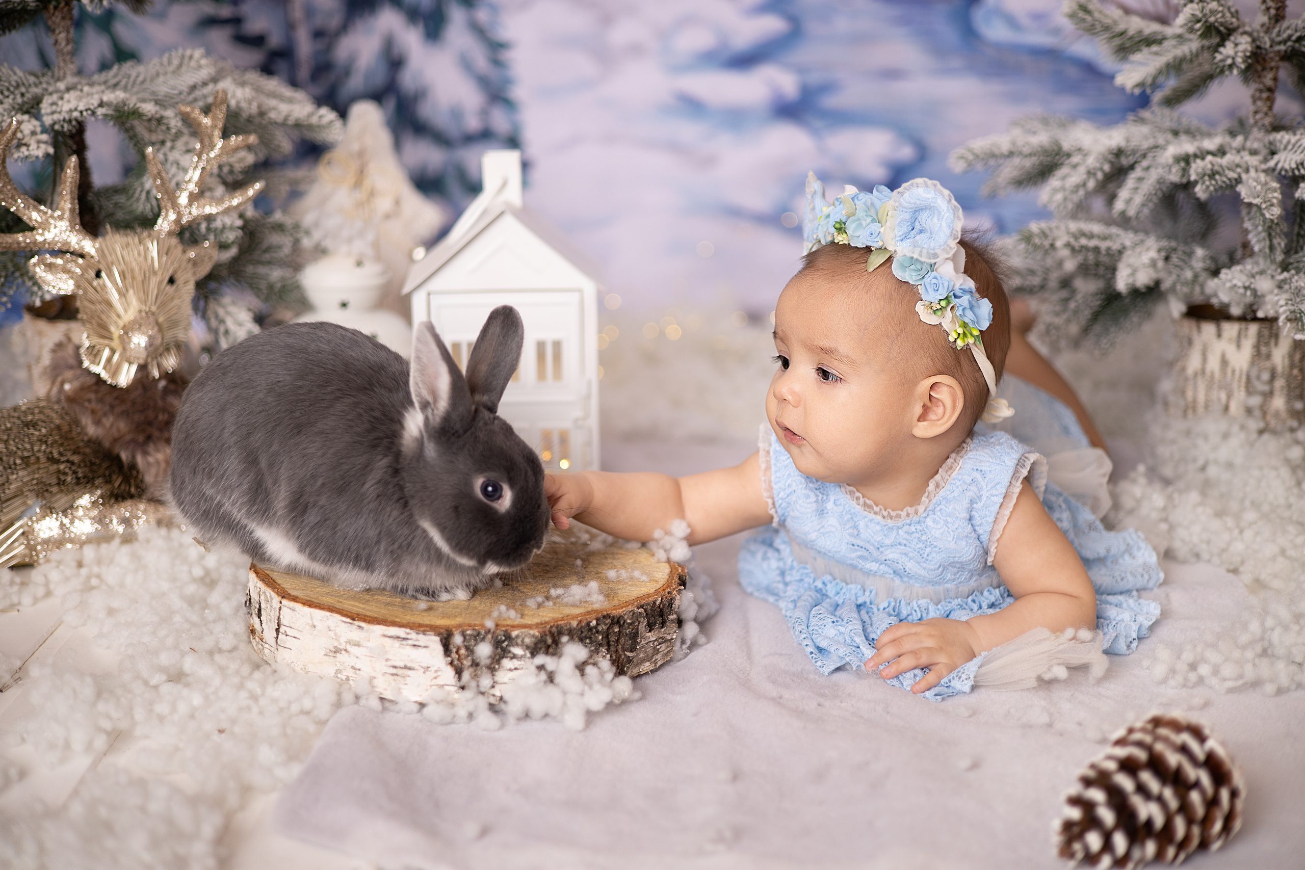 Арина. Детский новорождённых и детей постарше Анисимова Полина