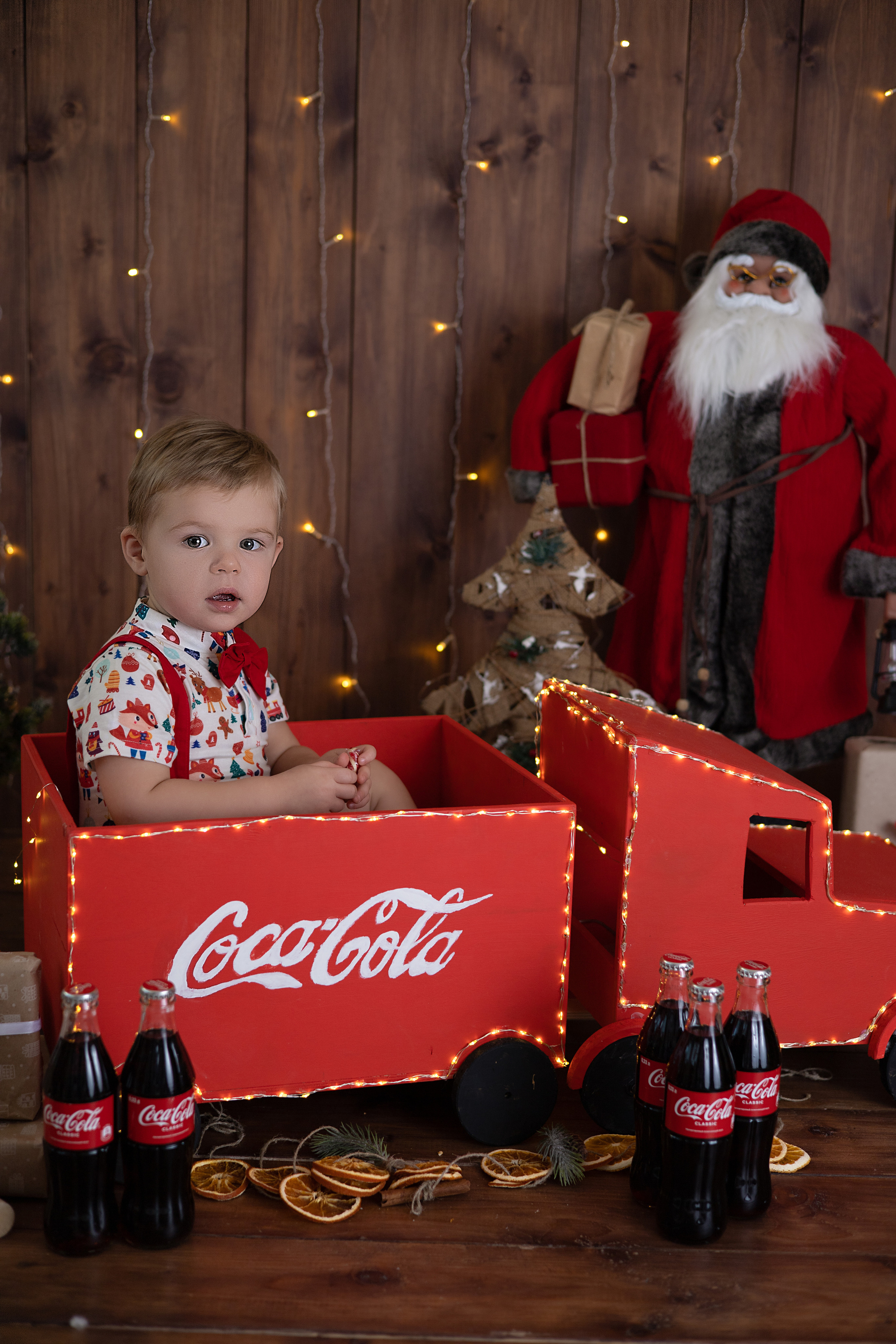 Лев. Детский новорождённых и детей постарше Анисимова Полина