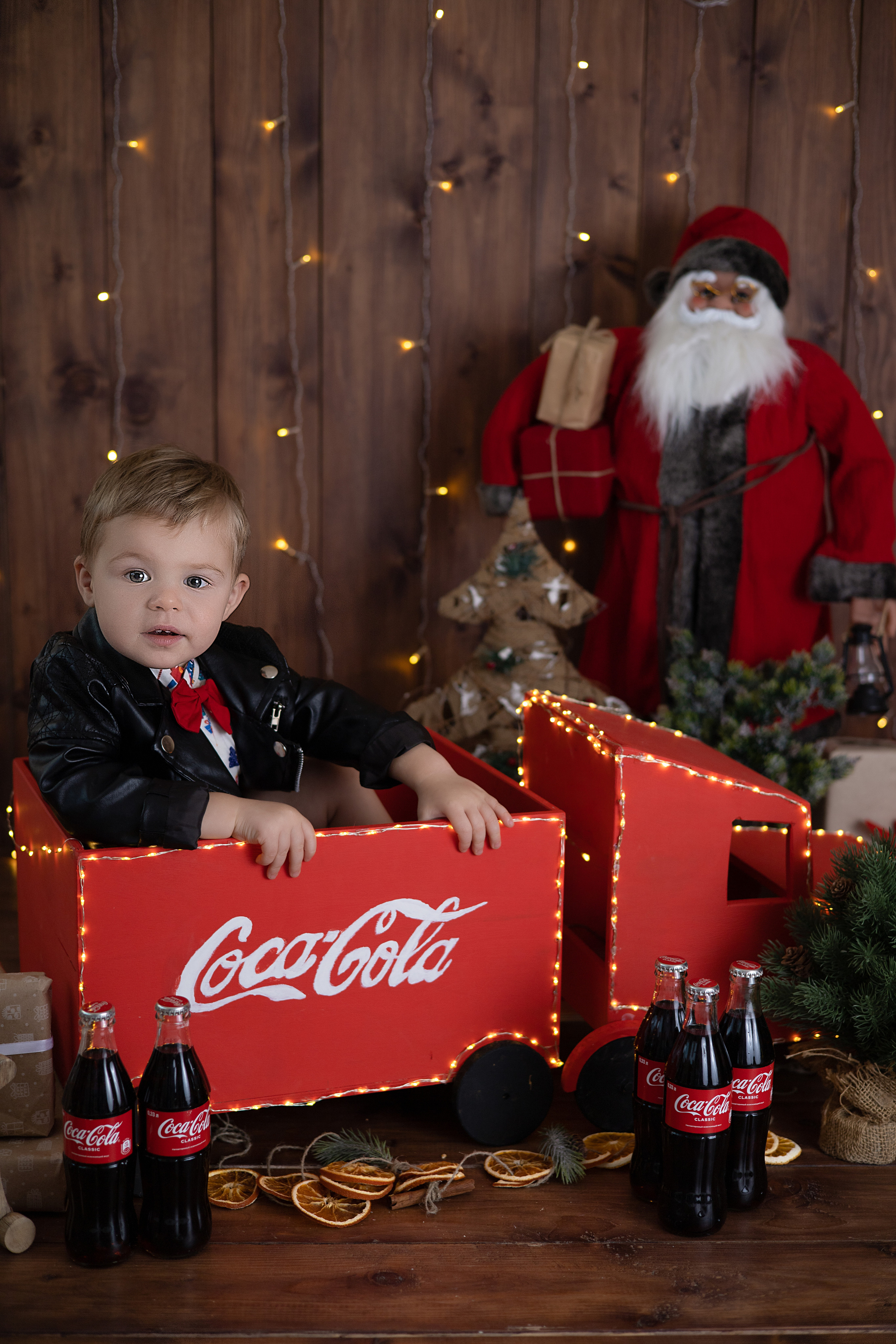 Лев. Детский новорождённых и детей постарше Анисимова Полина