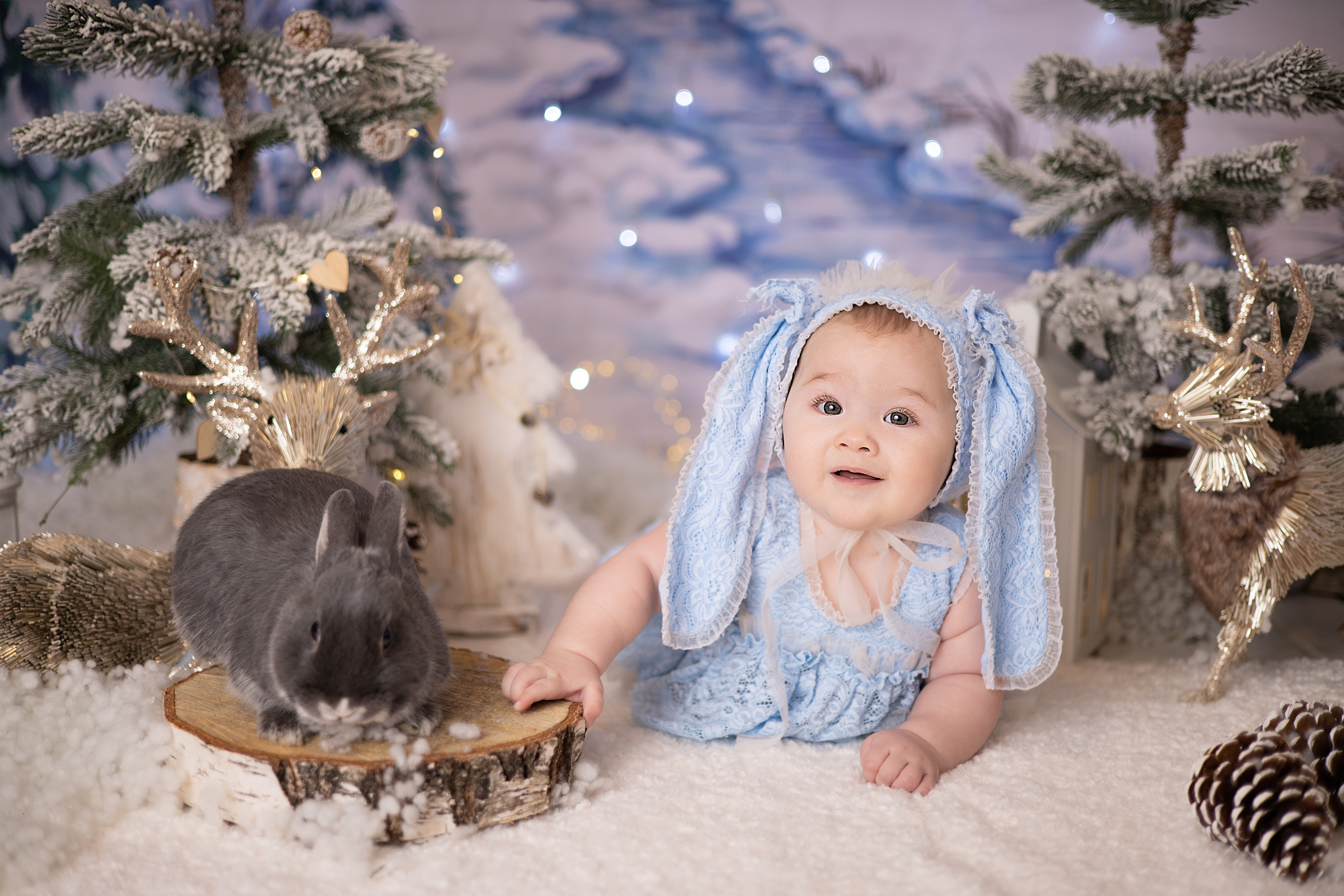 Диана. Детский новорождённых и детей постарше Анисимова Полина