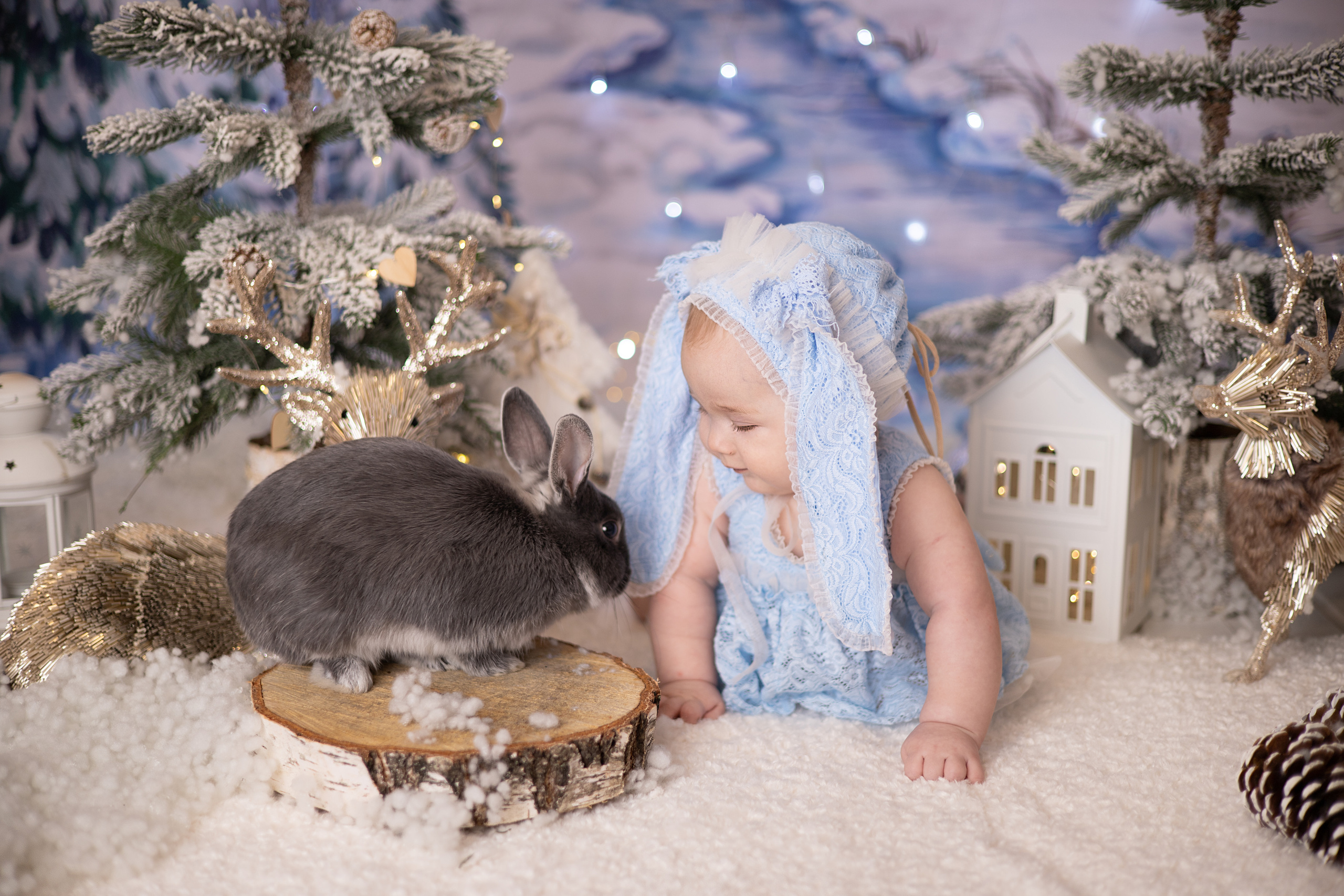 Диана. Детский новорождённых и детей постарше Анисимова Полина